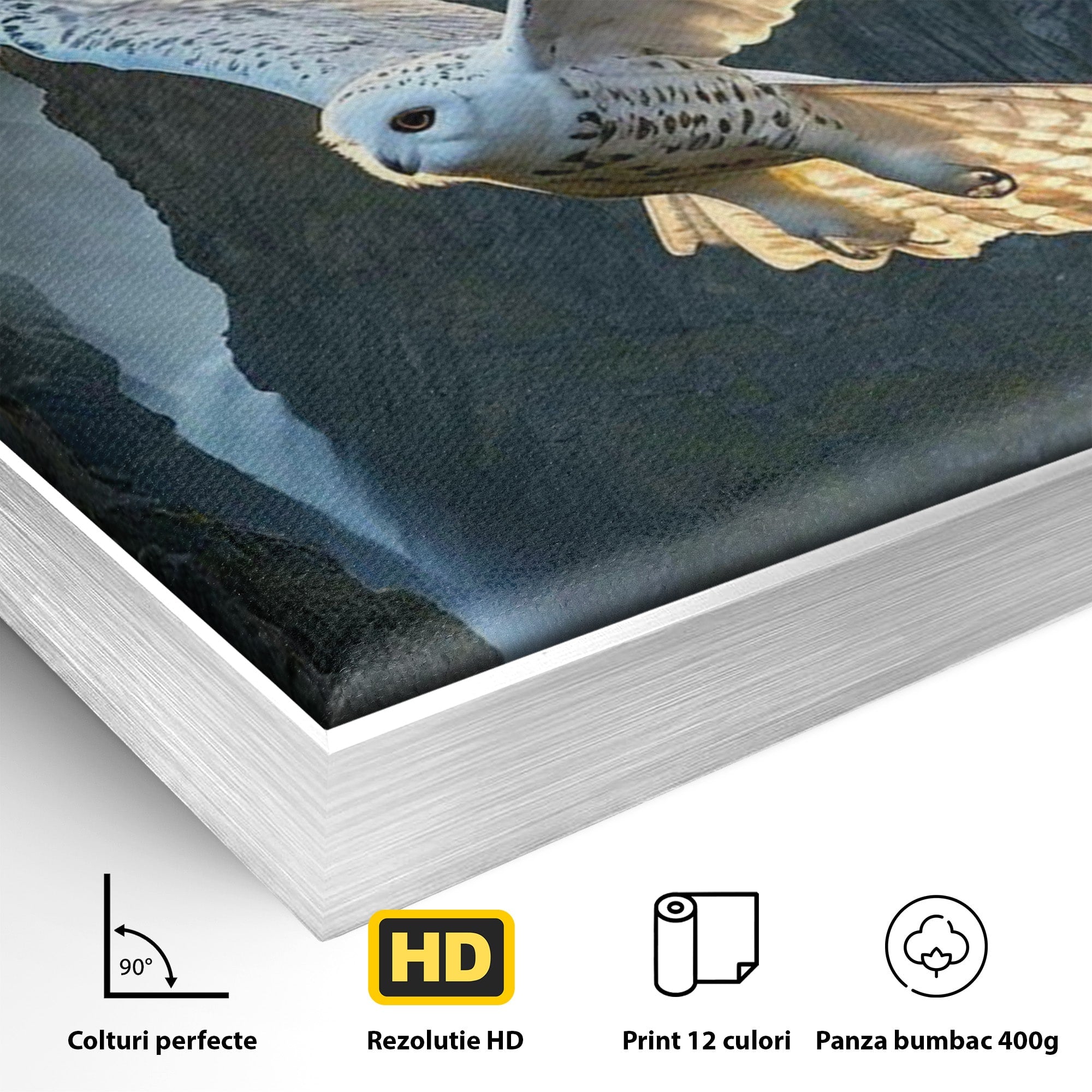 Tablou Canvas Premium LuxCanva® PI1217, Bufnita Magica, Hogwarts, Castel, Fantasy, Peisaj, Living, Culori Vibrante