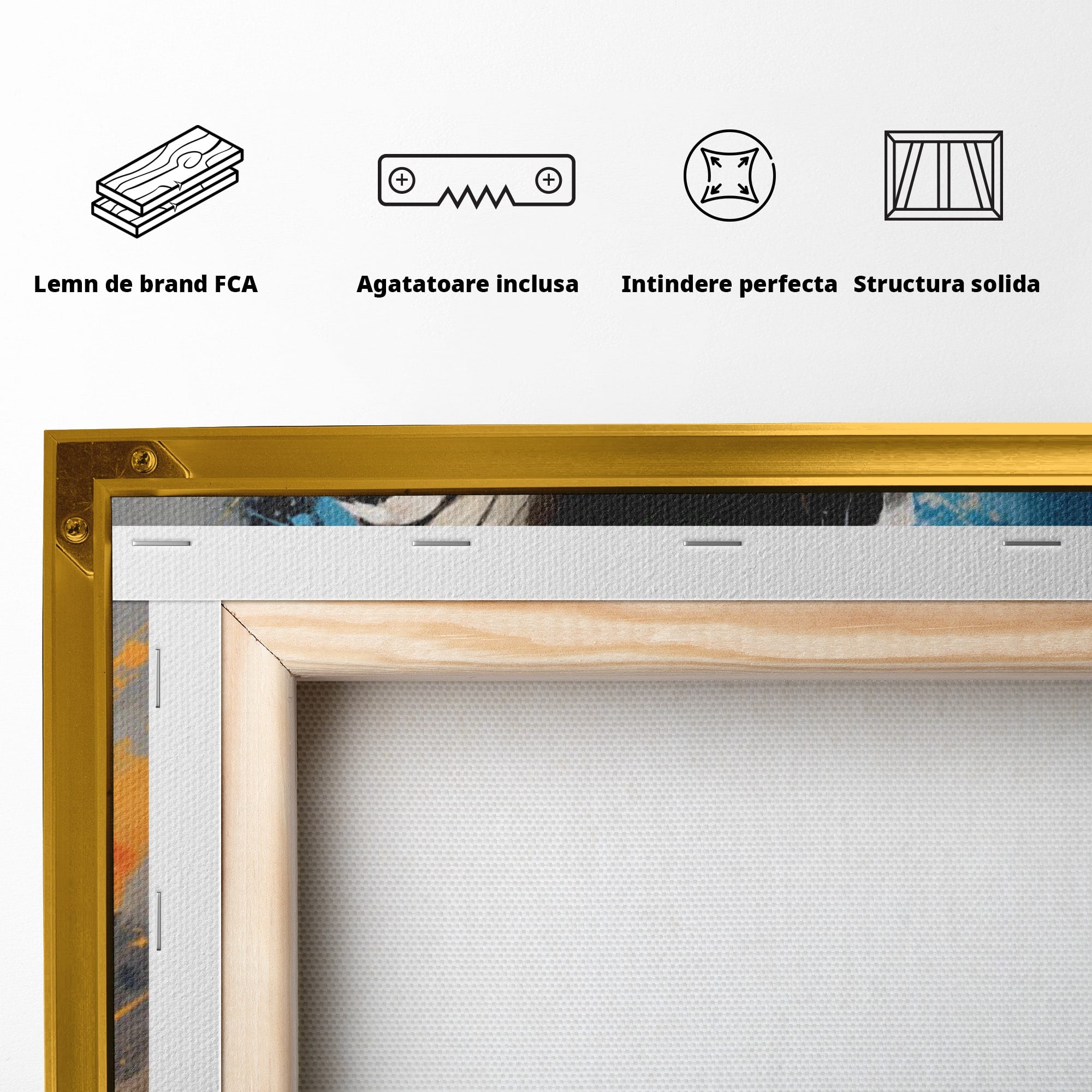 Tablou Canvas Premium LuxCanva® PI1220, Maestrul Jedi, Star Wars, Filme, Science Fiction, Living, Personaj, Arta, Culori Vibrante
