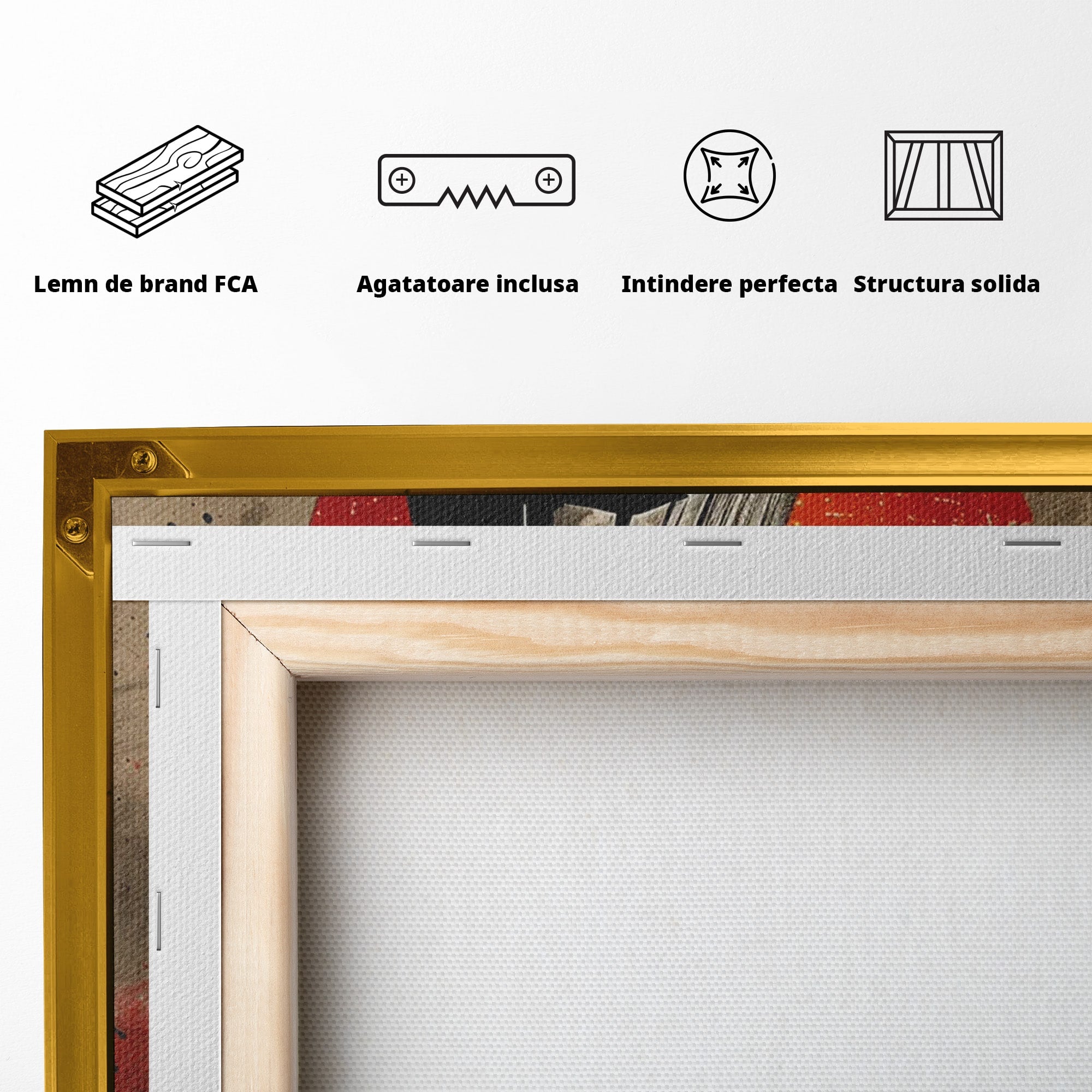 Tablou Canvas Premium LuxCanva® PI1221, Dark Lord, Razboinic, Sci-Fi, Fictiune, Dormitor, Living, Culori Vibrante