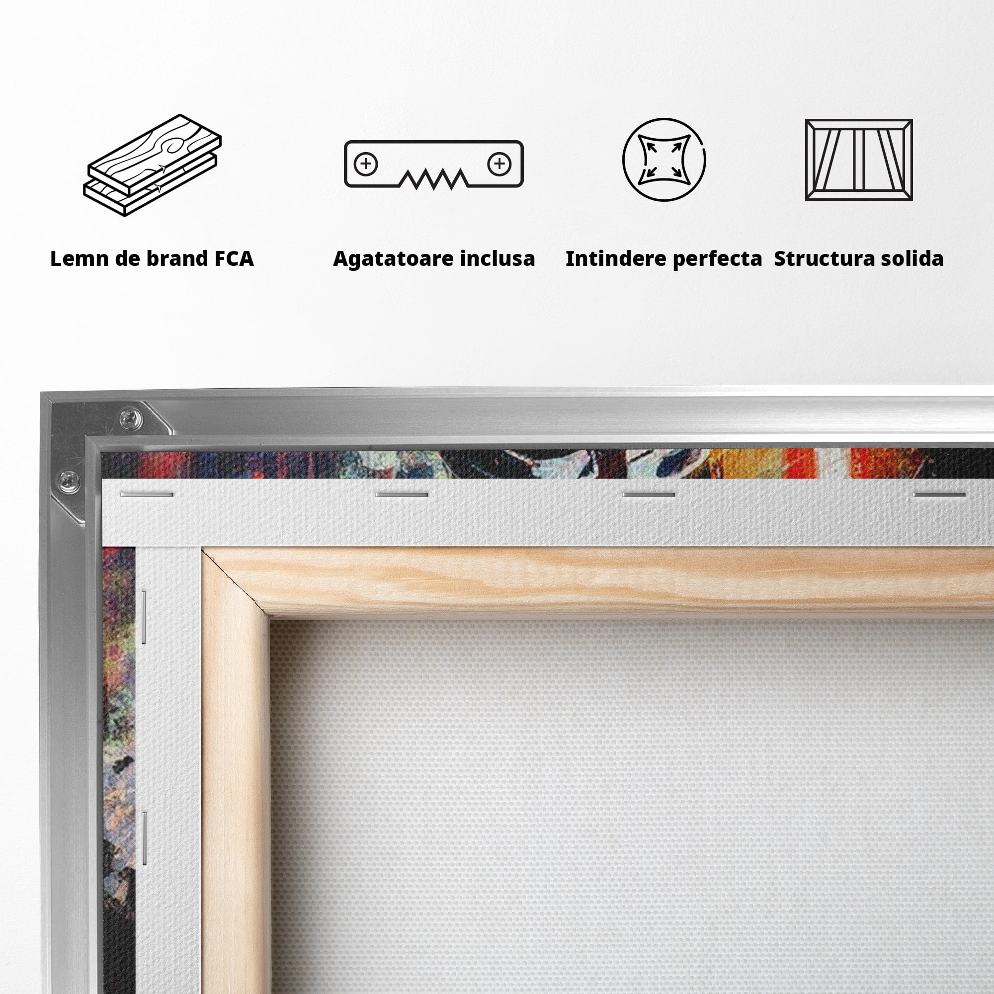 Tablou Canvas Premium LuxCanva® PI1224, Razboinicul Cosmic, Star Wars, Spatiu, Sci-Fi, Fantezie, Living, Culori Vibrante