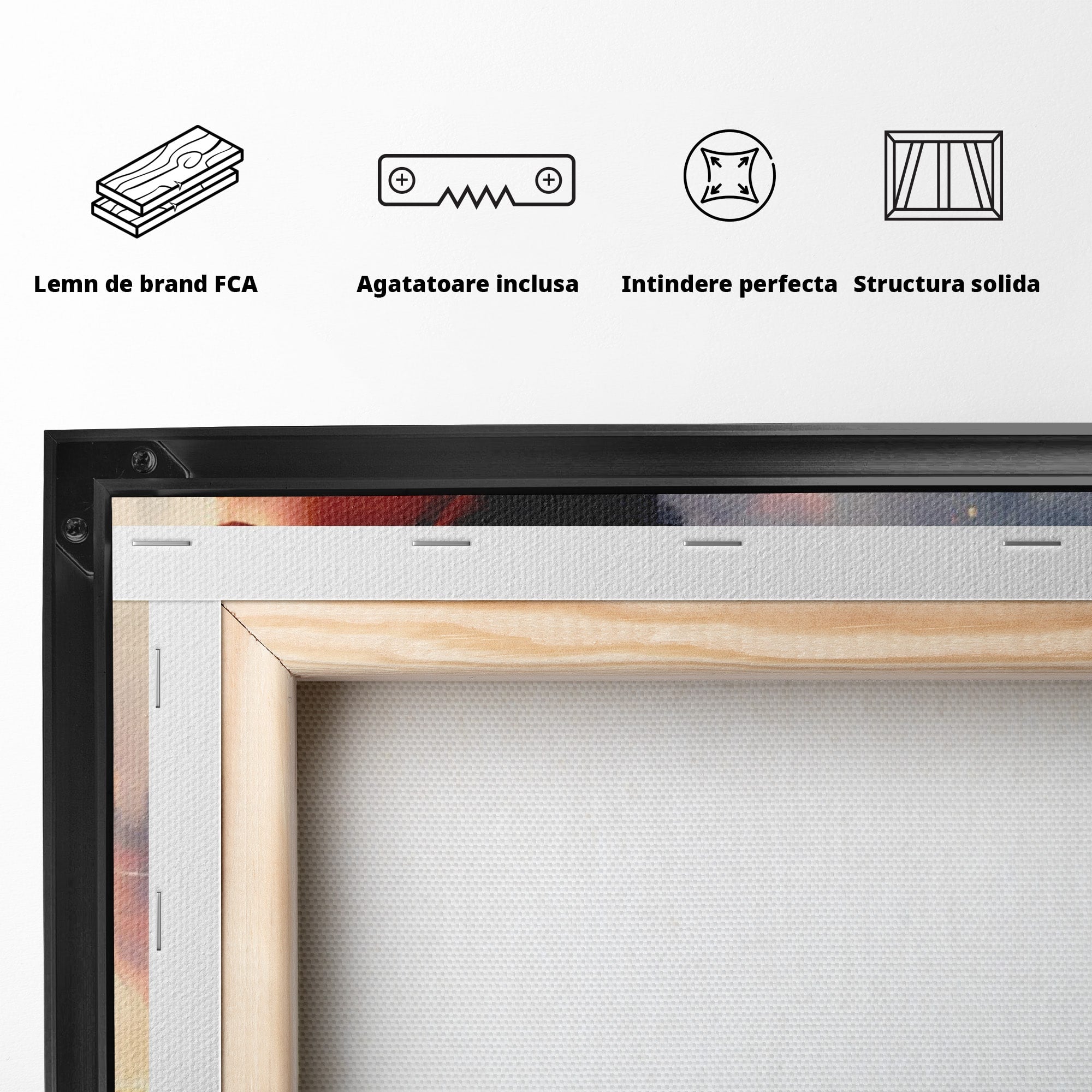 Tablou Canvas Premium LuxCanva® PI1225, Leia, Robot, Personaj, Femeie, Spatiu, Fantezie, Birou, Culori Vibrante