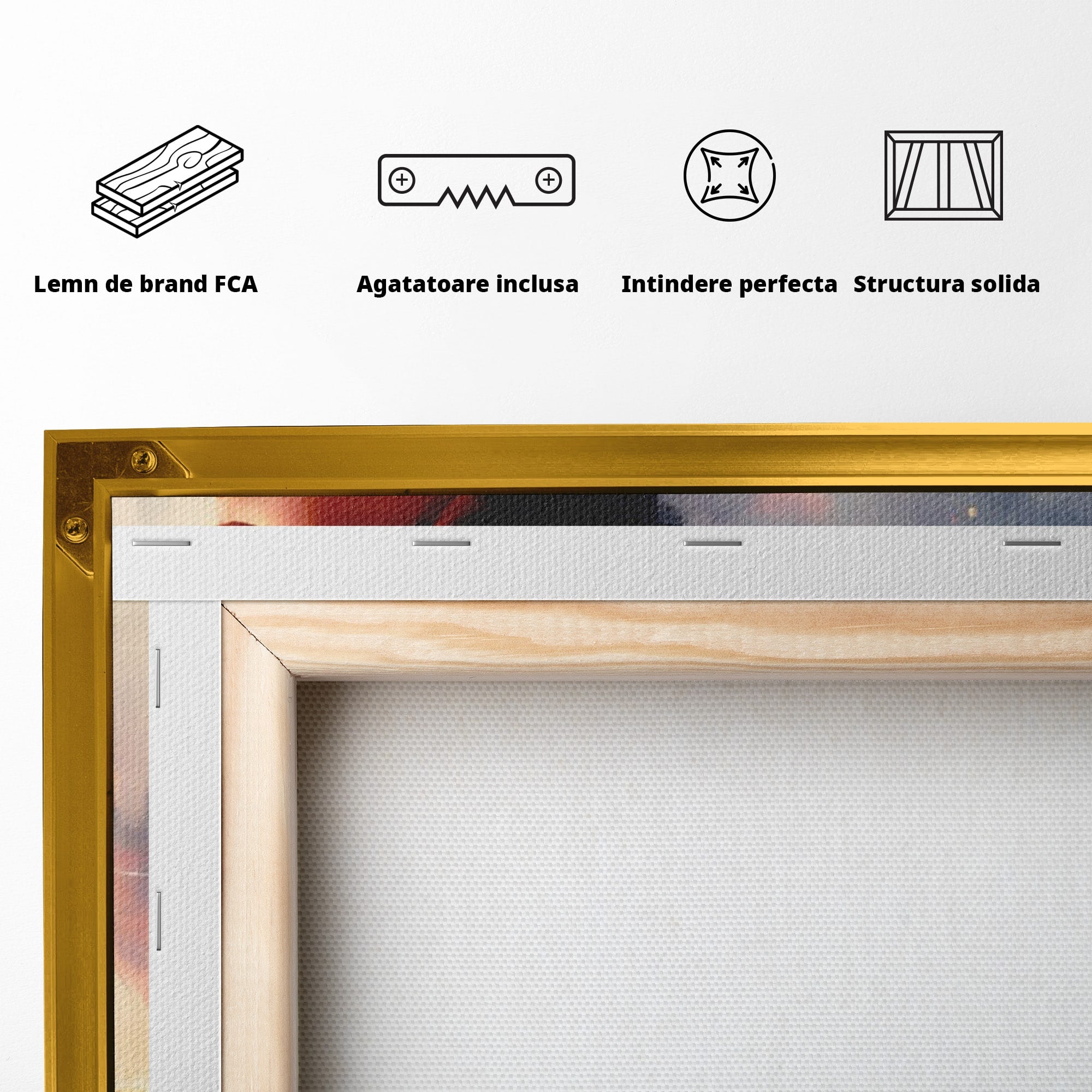 Tablou Canvas Premium LuxCanva® PI1225, Leia, Robot, Personaj, Femeie, Spatiu, Fantezie, Birou, Culori Vibrante