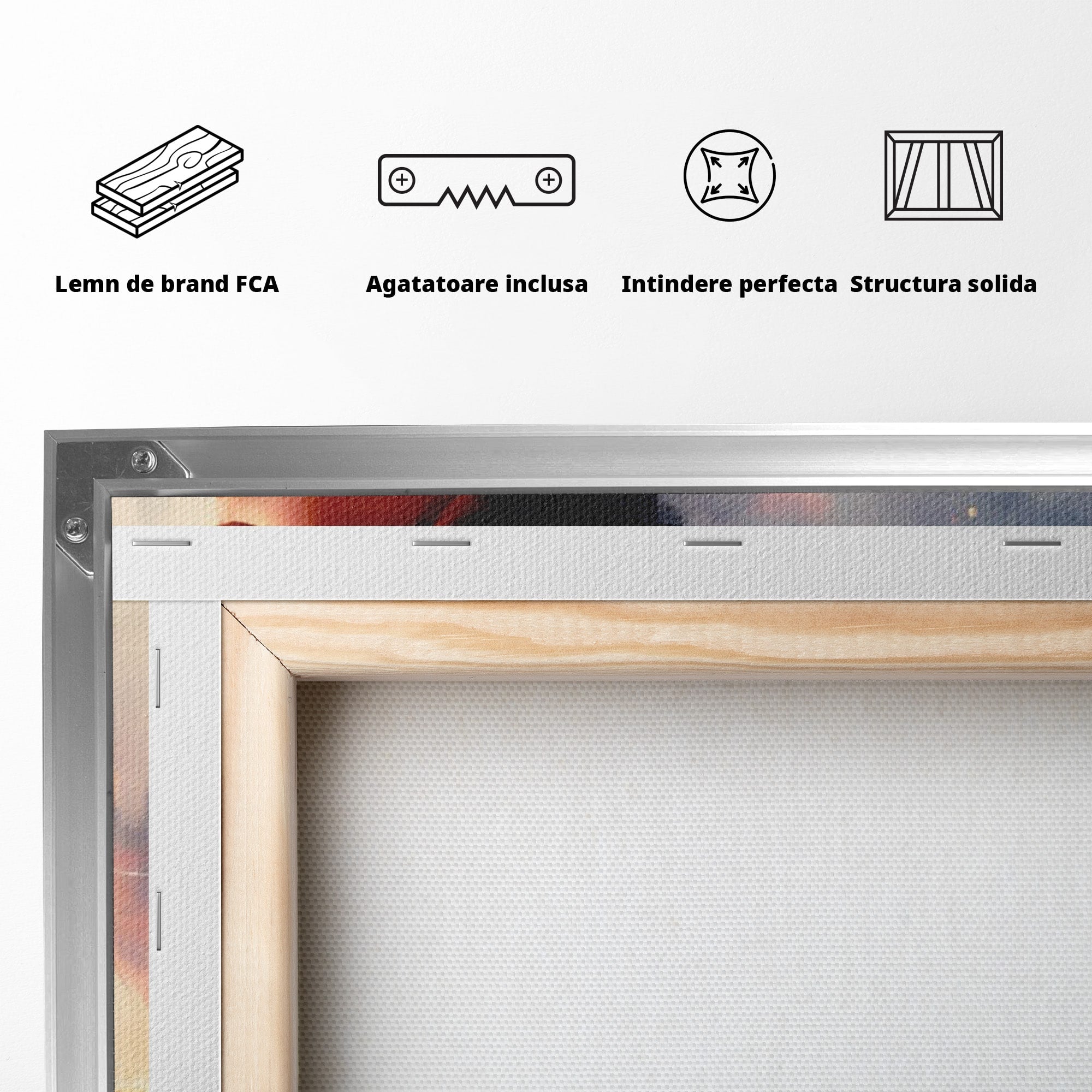 Tablou Canvas Premium LuxCanva® PI1225, Leia, Robot, Personaj, Femeie, Spatiu, Fantezie, Birou, Culori Vibrante