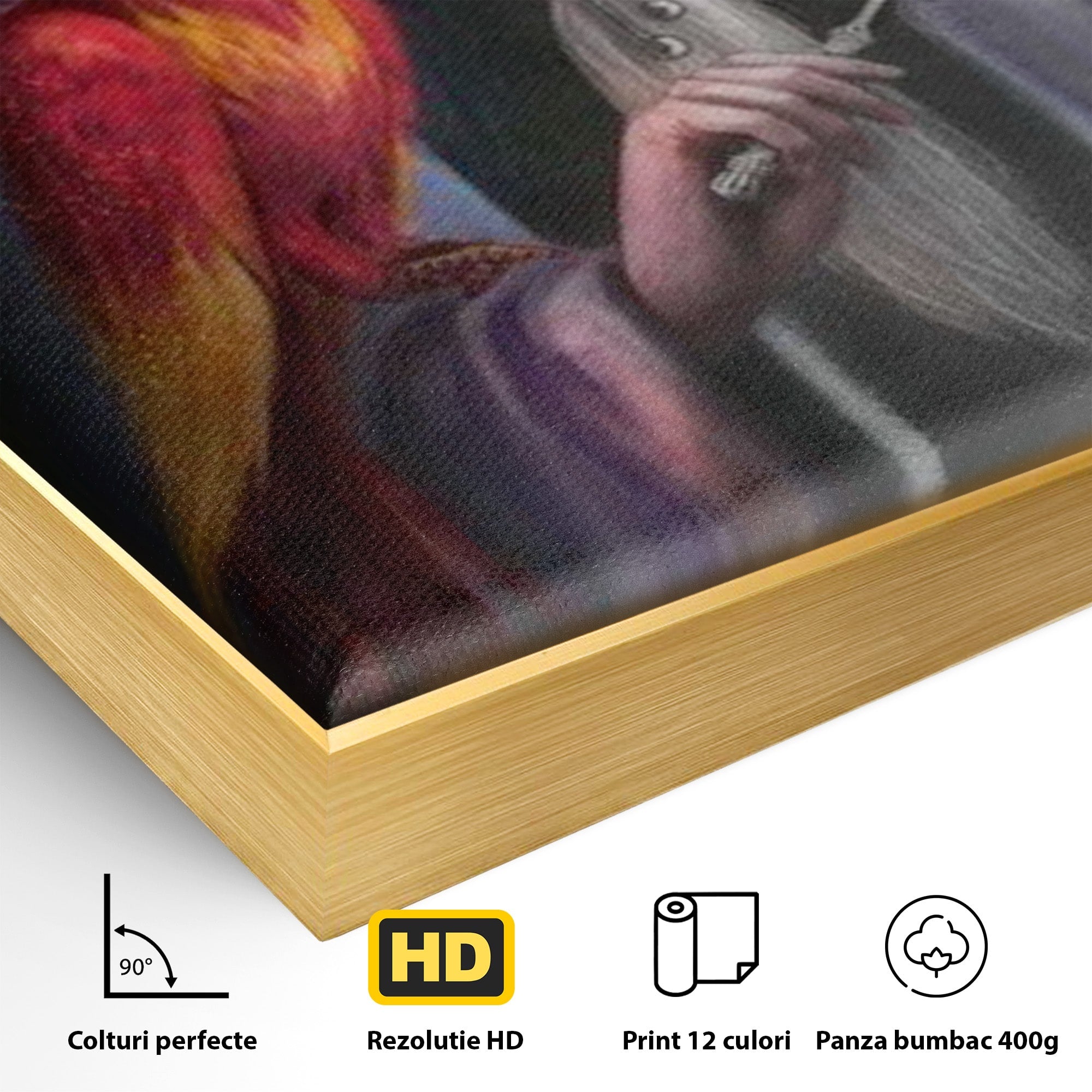 Tablou Canvas Premium LuxCanva® PI1228, Albus Dumbledore , Vrajitor, Pasare, Magie, Fantezie, Profesor, Living, Culori Vibrante