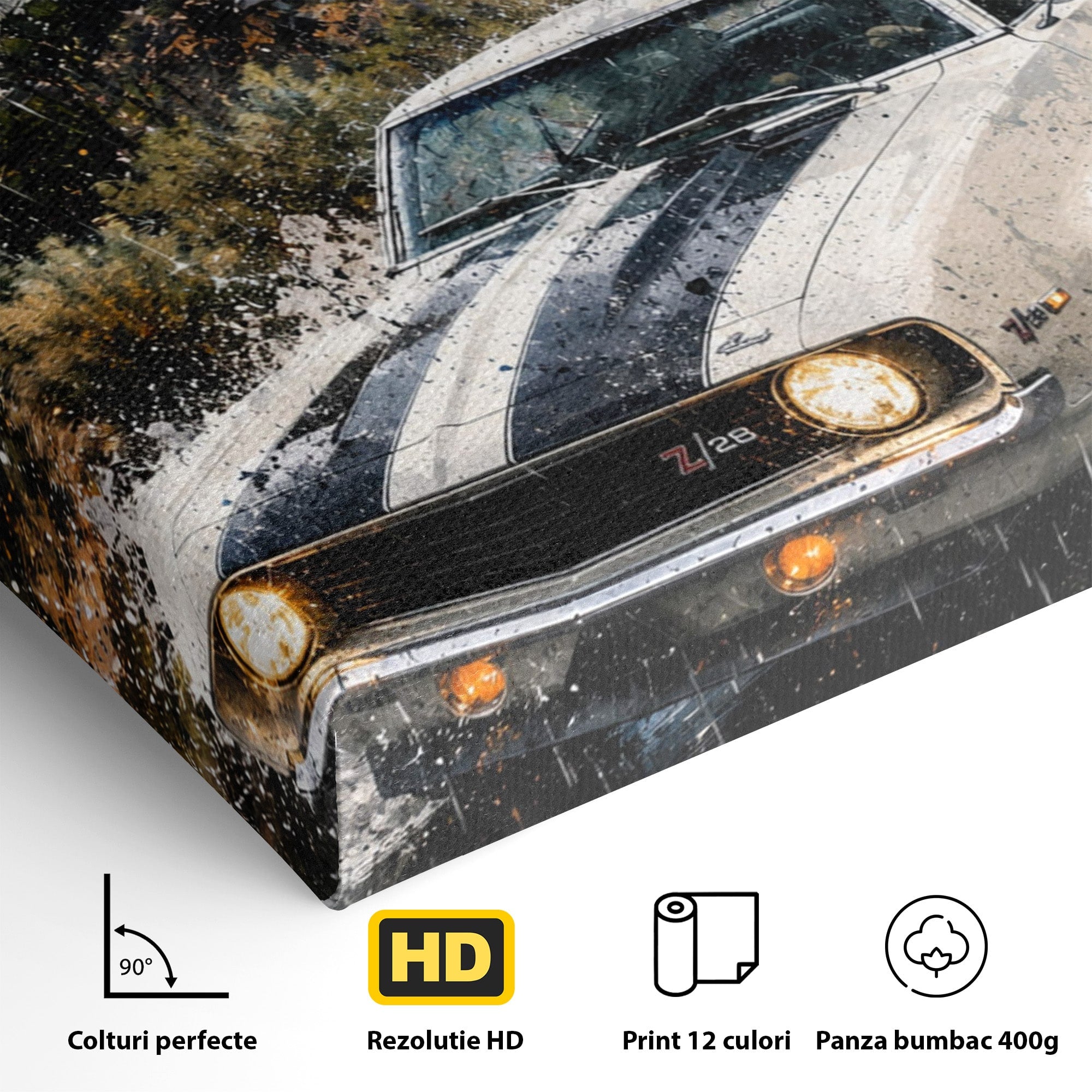 Tablou Canvas Premium LuxCanva® PI1246, Masina In Ploaie, Roti, Ploaie, Peisaj, Retro, Living, Culori Vibrante