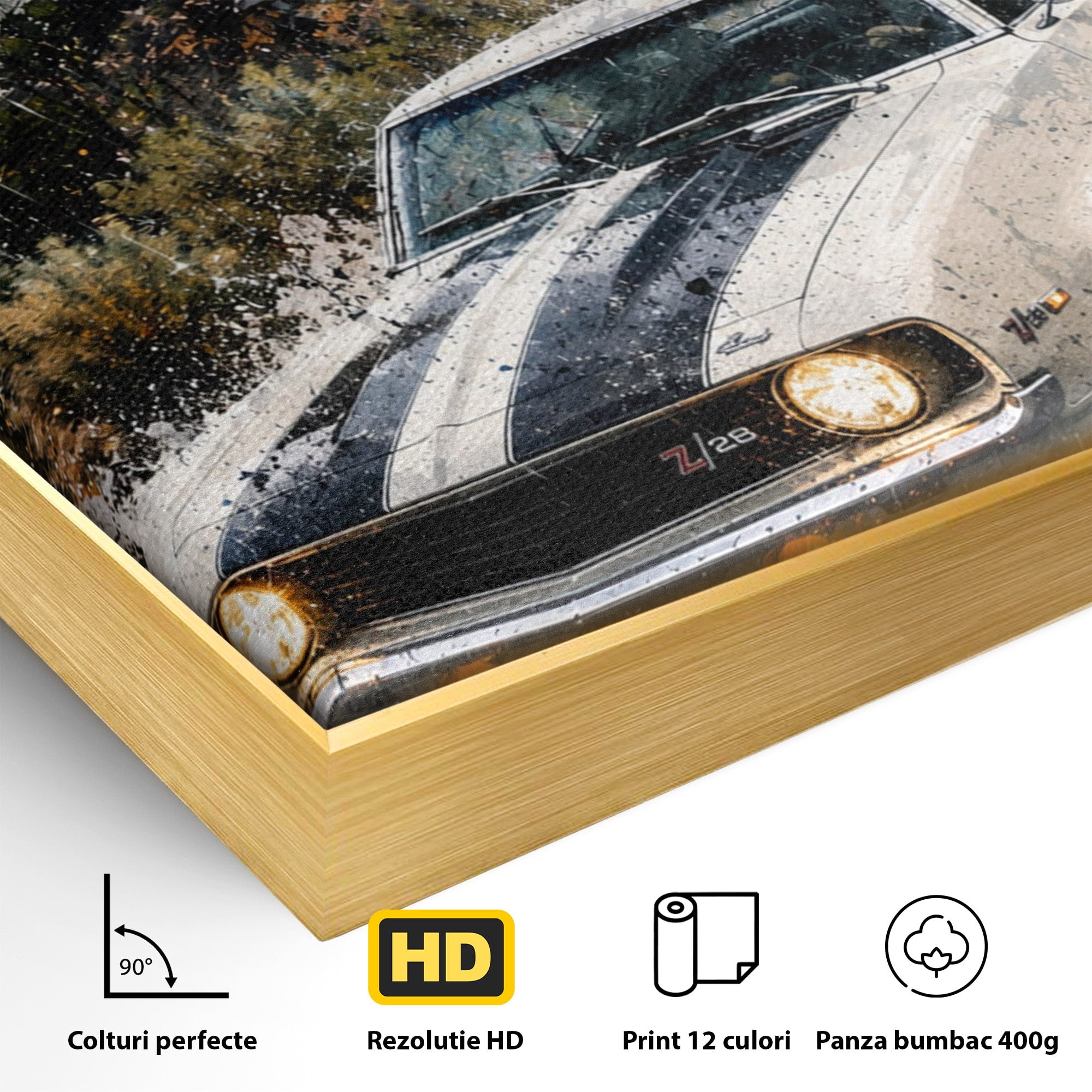Tablou Canvas Premium LuxCanva® PI1246, Masina In Ploaie, Roti, Ploaie, Peisaj, Retro, Living, Culori Vibrante