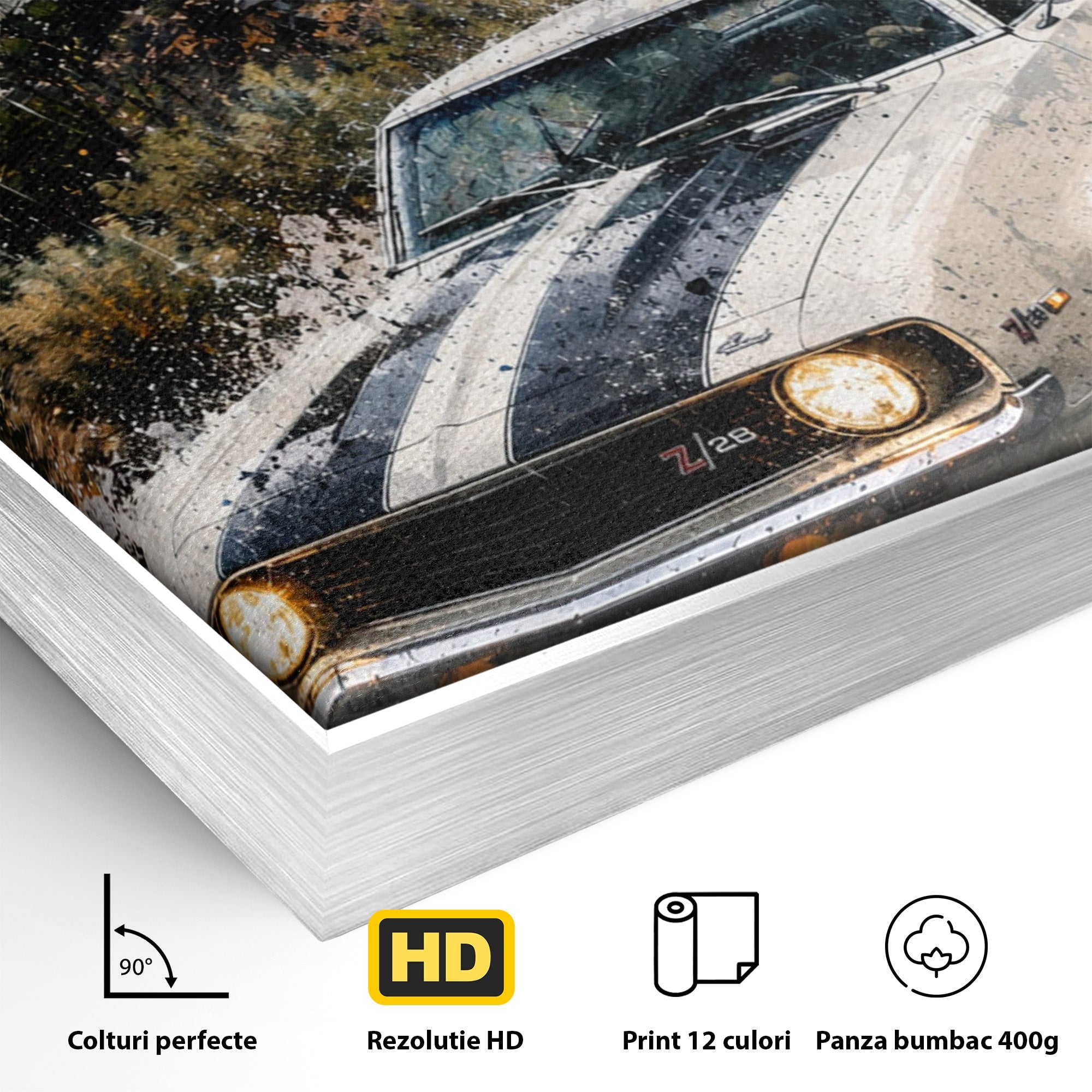 Tablou Canvas Premium LuxCanva® PI1246, Masina In Ploaie, Roti, Ploaie, Peisaj, Retro, Living, Culori Vibrante