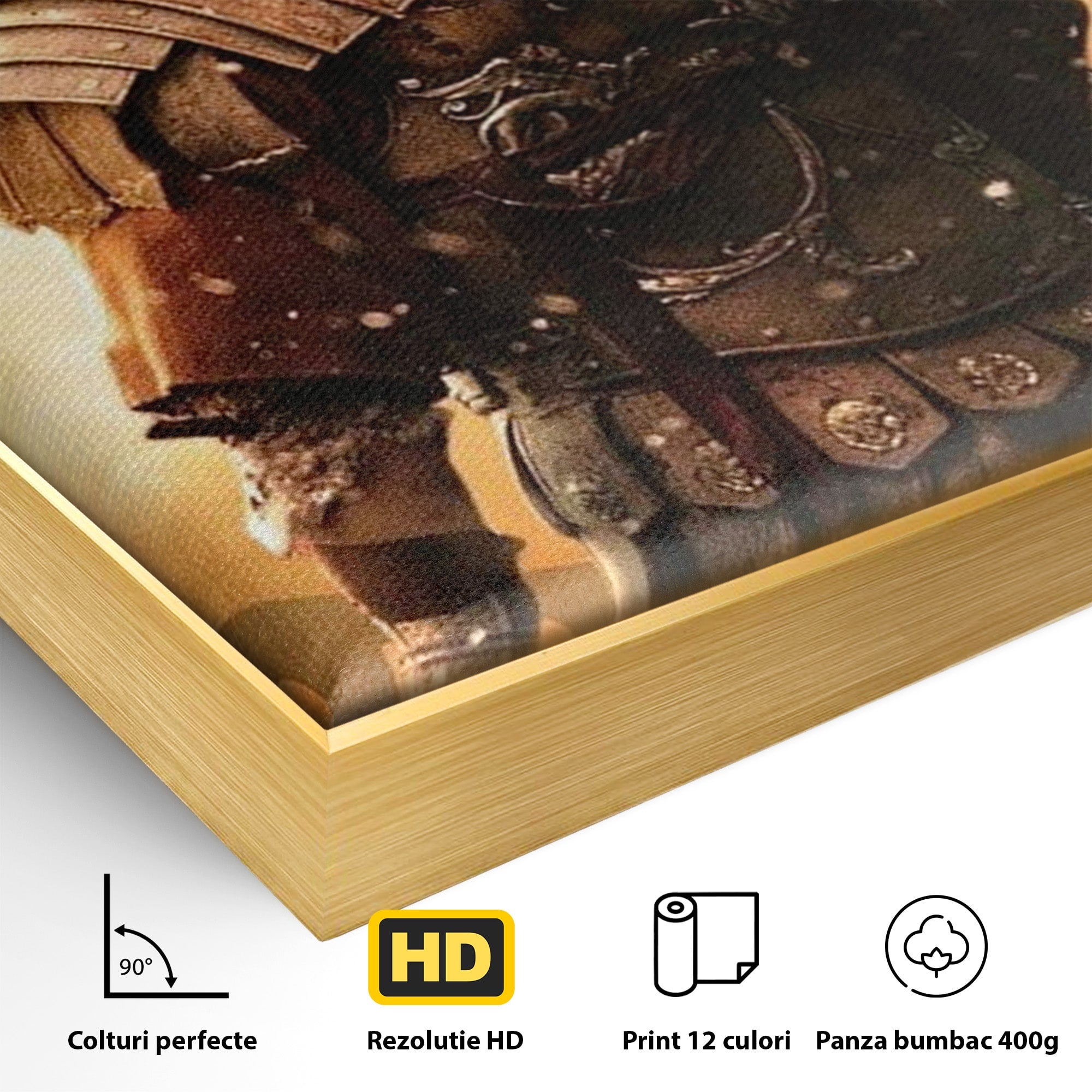Tablou Canvas Premium LuxCanva® PI1250, Gladiatorul Antic, Russel Crow, Istorie, Erou, Film, Actiune, Living, Dormitor, Culori Vibrante