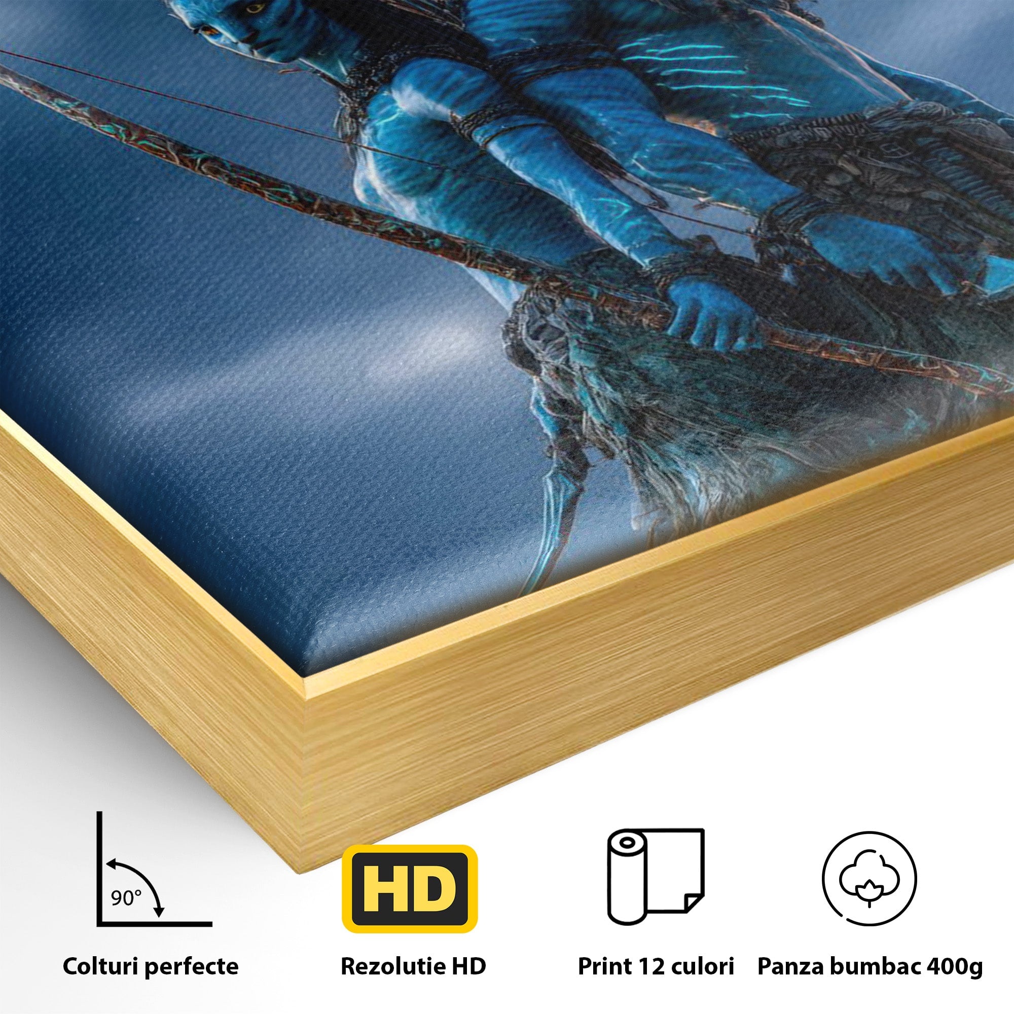 Tablou Canvas Premium LuxCanva® PI1254, Razboinici Din Avatar, Iubire, Fantezie, Film, Aventura, Living, Culori Vibrante