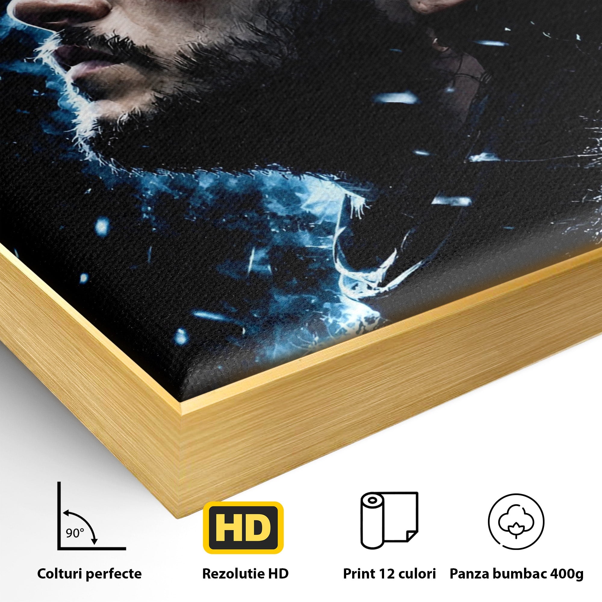 Tablou Canvas Premium LuxCanva® PI1258, Gandurile lui Snow, Portret, Razboinic, Fantezie, Intensitate, Living, Culori Vibrante