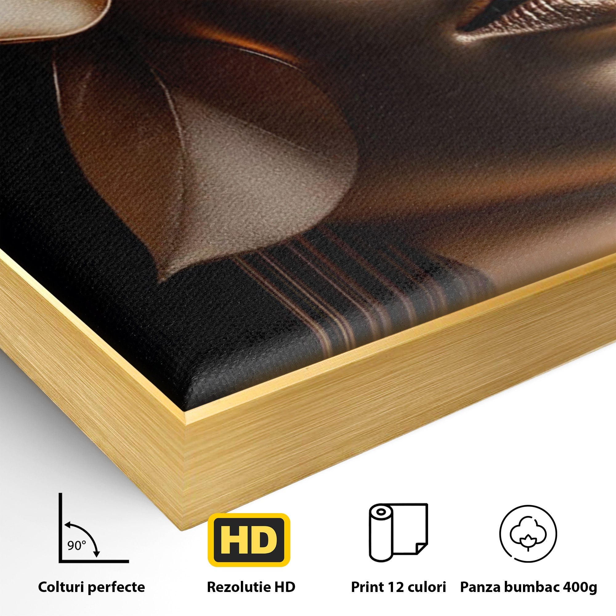 Tablou Canvas Premium LuxCanva® PI1266, Chip Auriu Cu Floare, Portret, Floral, Modern, Eleganta, Dormitor, Birou, Culori Vibrante