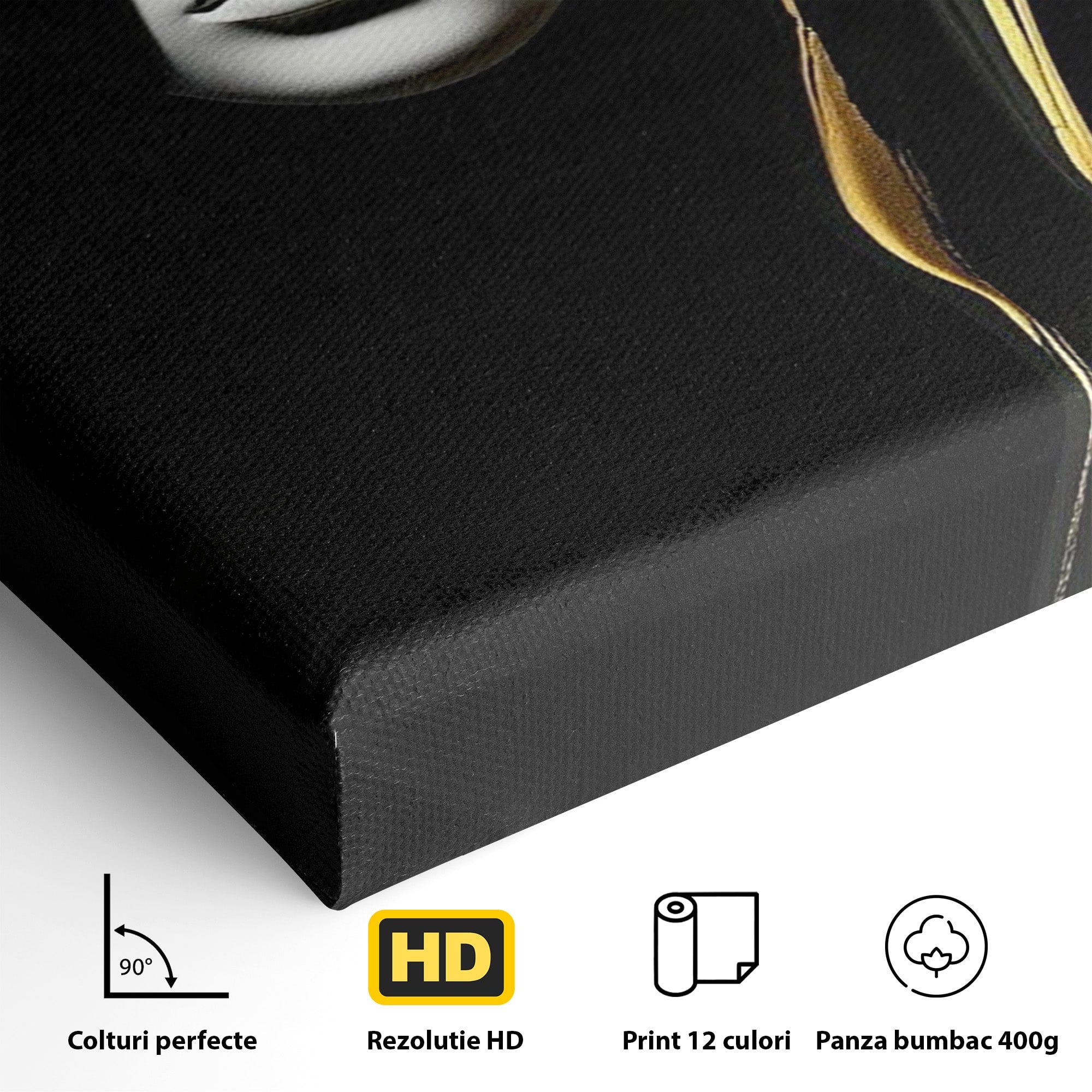 Tablou Canvas Premium LuxCanva® PI1267, Masca Dualitatii, Chip, Portret, Abstract, Contrast, Living, Culori Vibrante