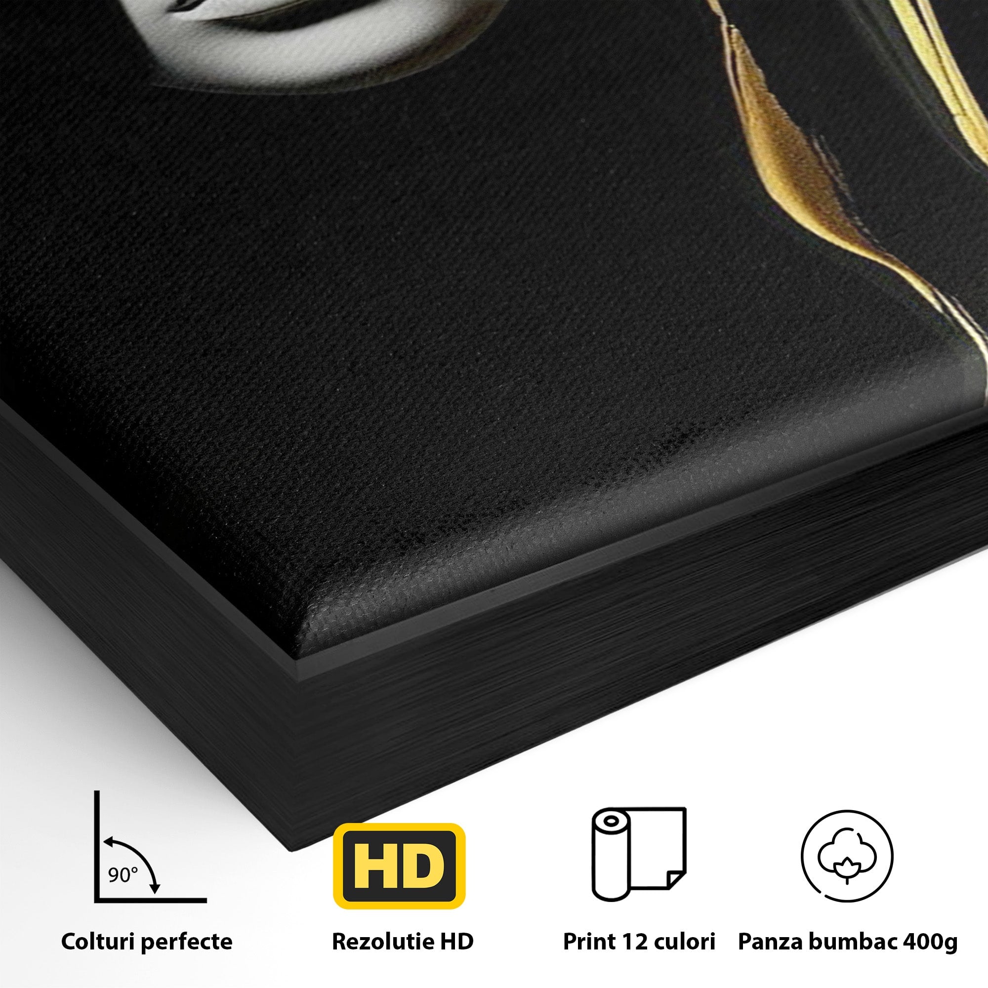 Tablou Canvas Premium LuxCanva® PI1267, Masca Dualitatii, Chip, Portret, Abstract, Contrast, Living, Culori Vibrante