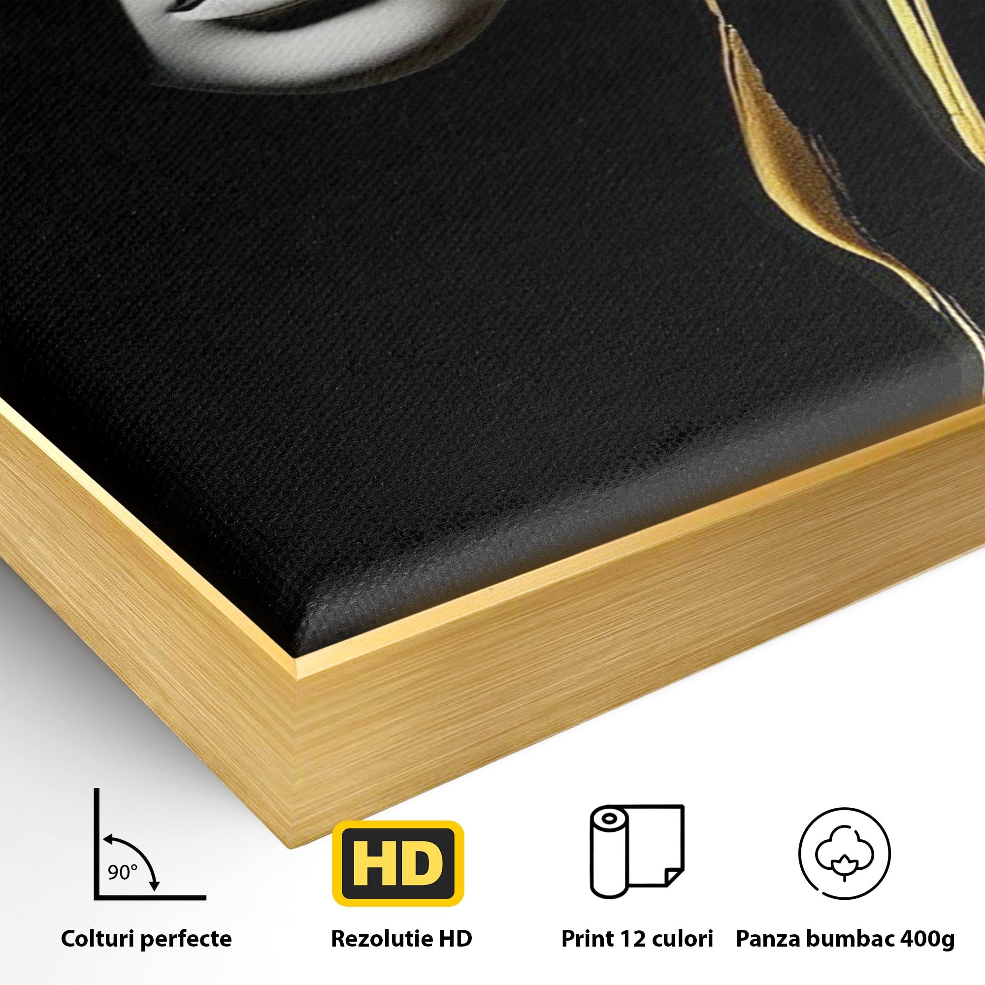 Tablou Canvas Premium LuxCanva® PI1267, Masca Dualitatii, Chip, Portret, Abstract, Contrast, Living, Culori Vibrante
