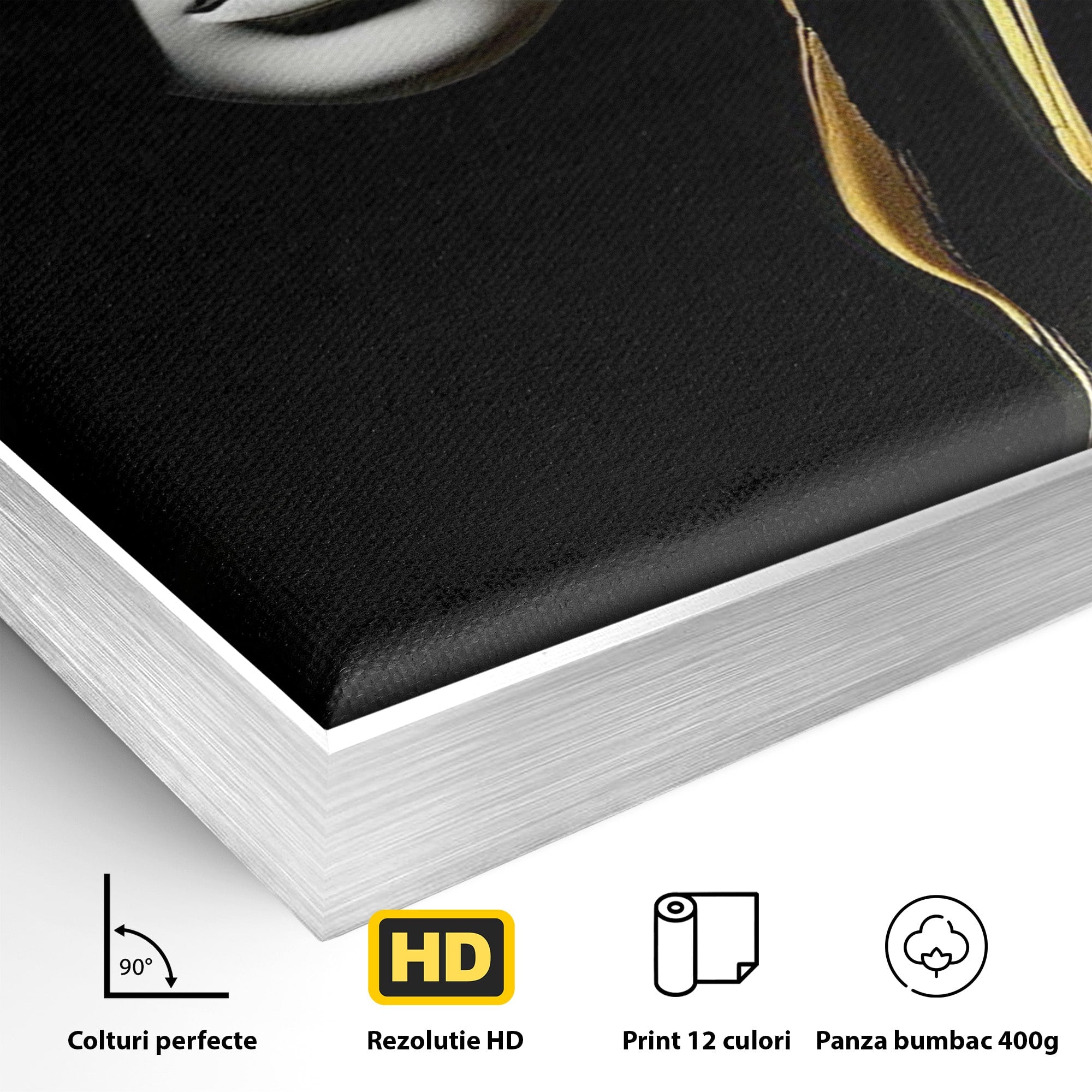 Tablou Canvas Premium LuxCanva® PI1267, Masca Dualitatii, Chip, Portret, Abstract, Contrast, Living, Culori Vibrante