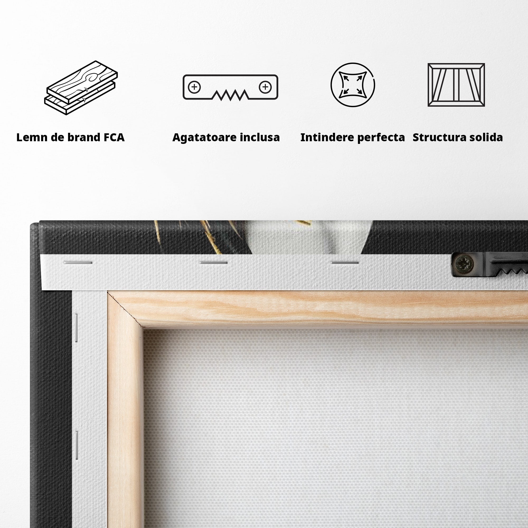 Tablou Canvas Premium LuxCanva® PI1267, Masca Dualitatii, Chip, Portret, Abstract, Contrast, Living, Culori Vibrante