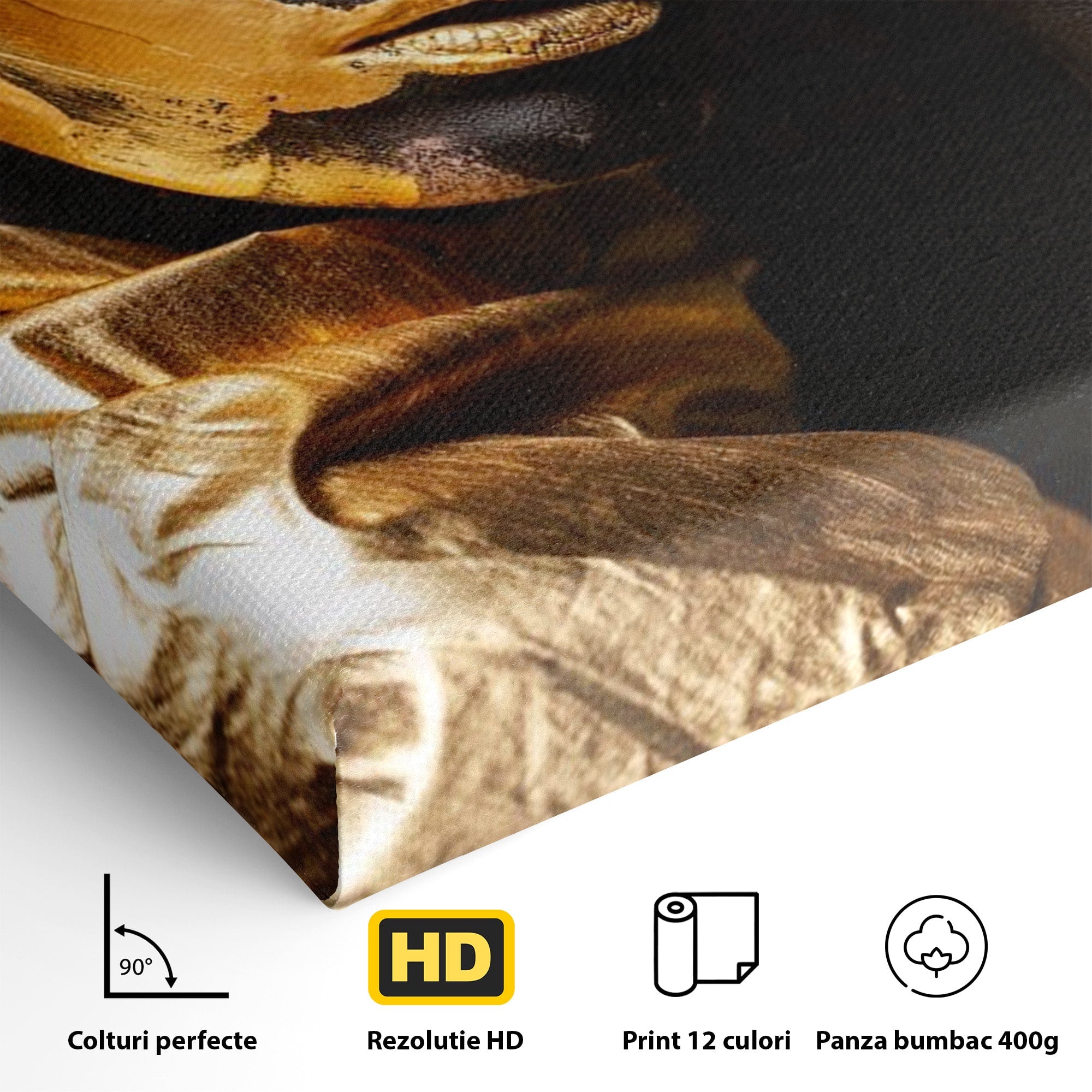 Tablou Canvas Premium LuxCanva® PI1272, Portret Aurit, Fotomodel, Arta Contemporana, Abstract, Lux, Dormitor, Birou, Culori Vibrante