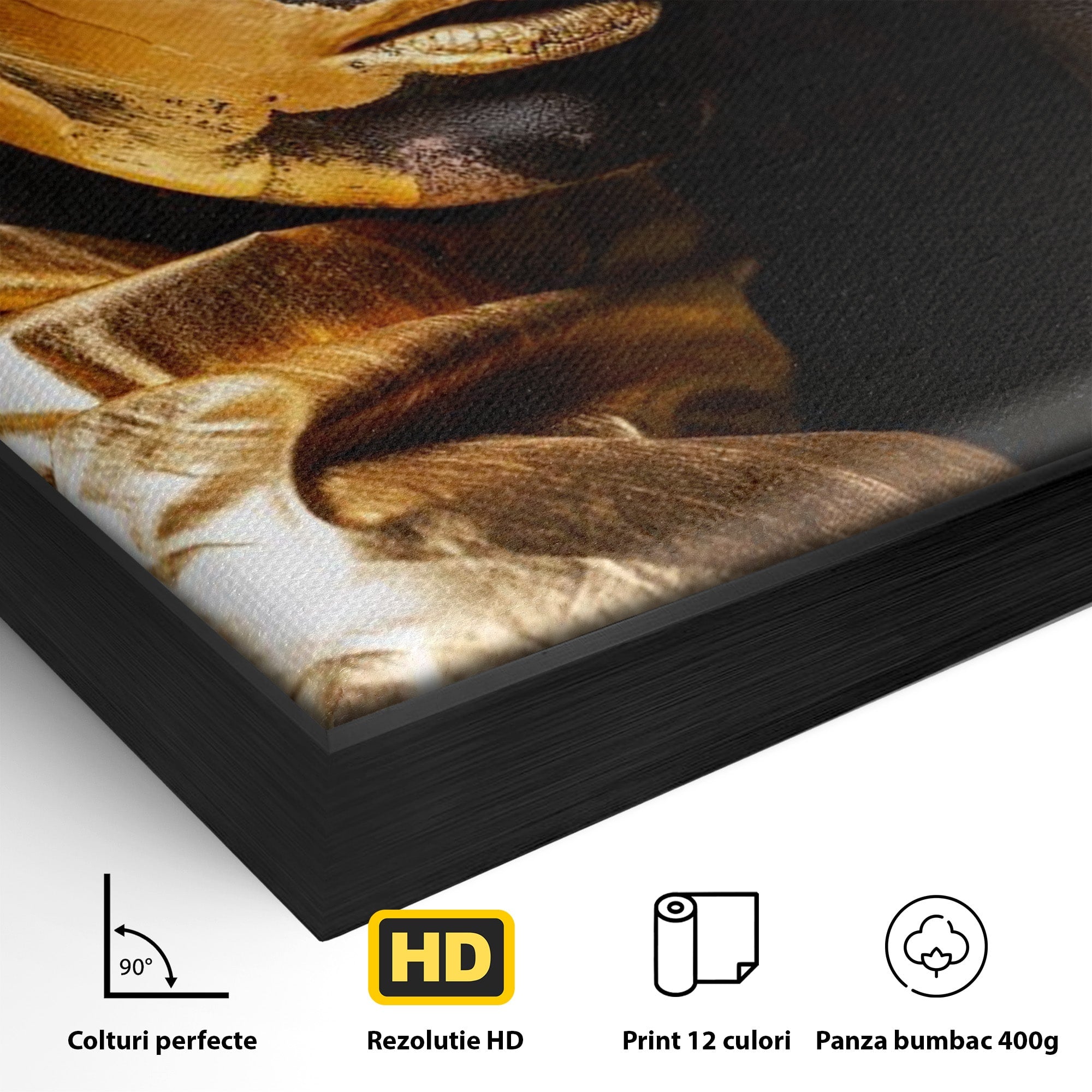 Tablou Canvas Premium LuxCanva® PI1272, Portret Aurit, Fotomodel, Arta Contemporana, Abstract, Lux, Dormitor, Birou, Culori Vibrante