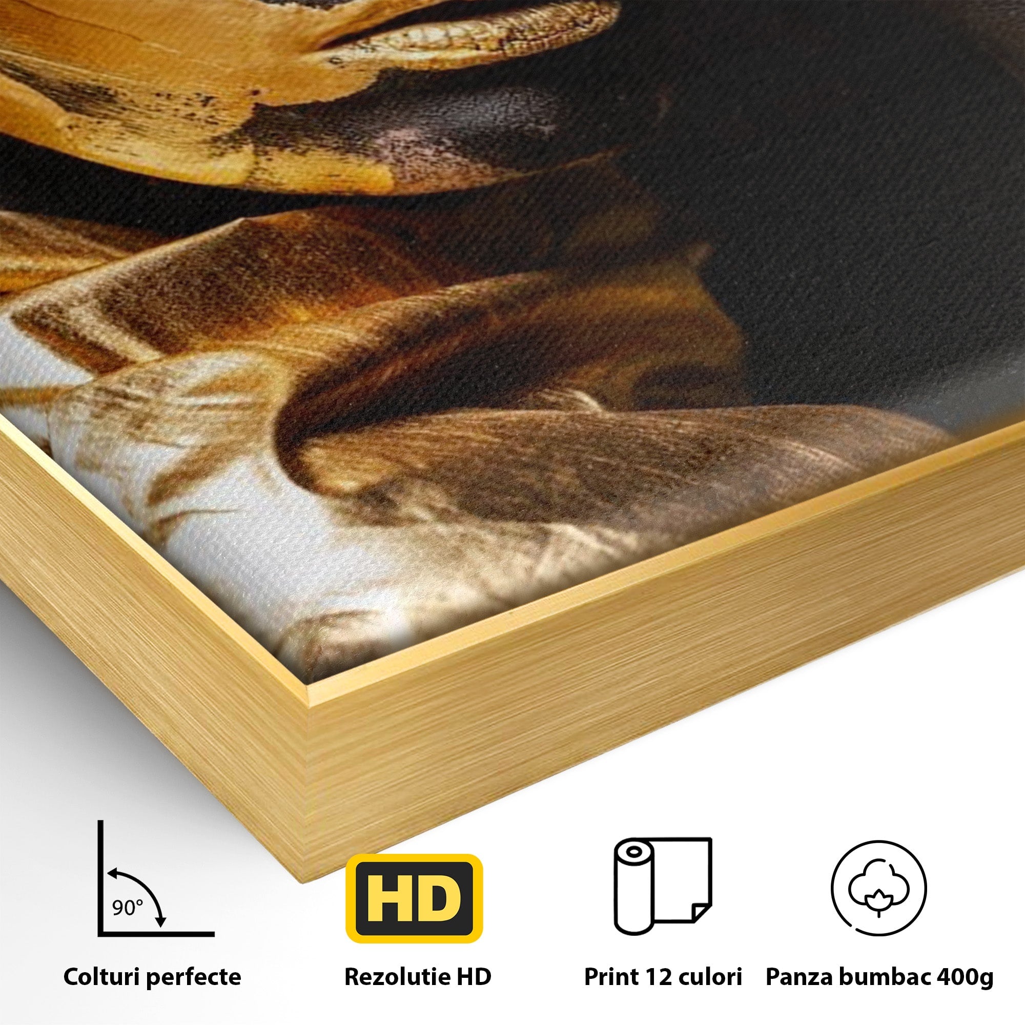 Tablou Canvas Premium LuxCanva® PI1272, Portret Aurit, Fotomodel, Arta Contemporana, Abstract, Lux, Dormitor, Birou, Culori Vibrante