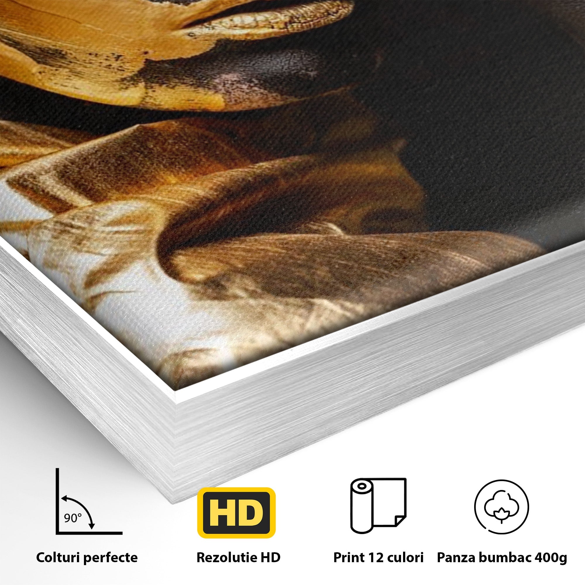 Tablou Canvas Premium LuxCanva® PI1272, Portret Aurit, Fotomodel, Arta Contemporana, Abstract, Lux, Dormitor, Birou, Culori Vibrante