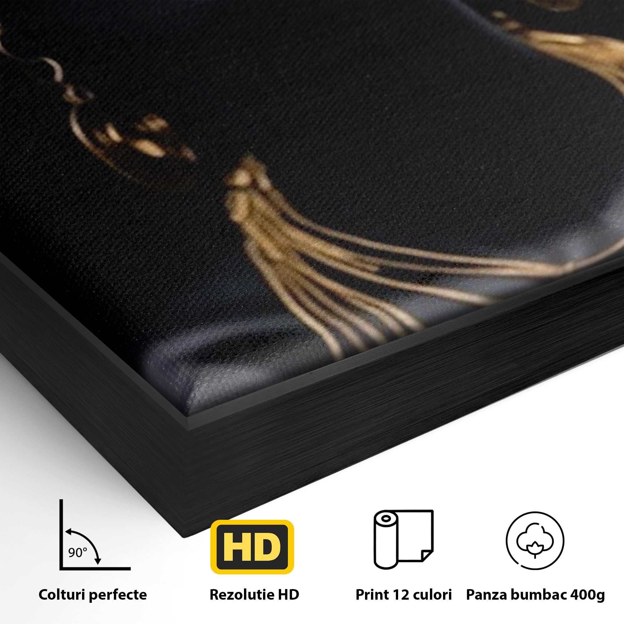 Tablou Canvas Premium LuxCanva® PI1273, Stralucire Nocturna, Portret, Eleganta, Aur, Living, Dormitor, Culori Vibrante