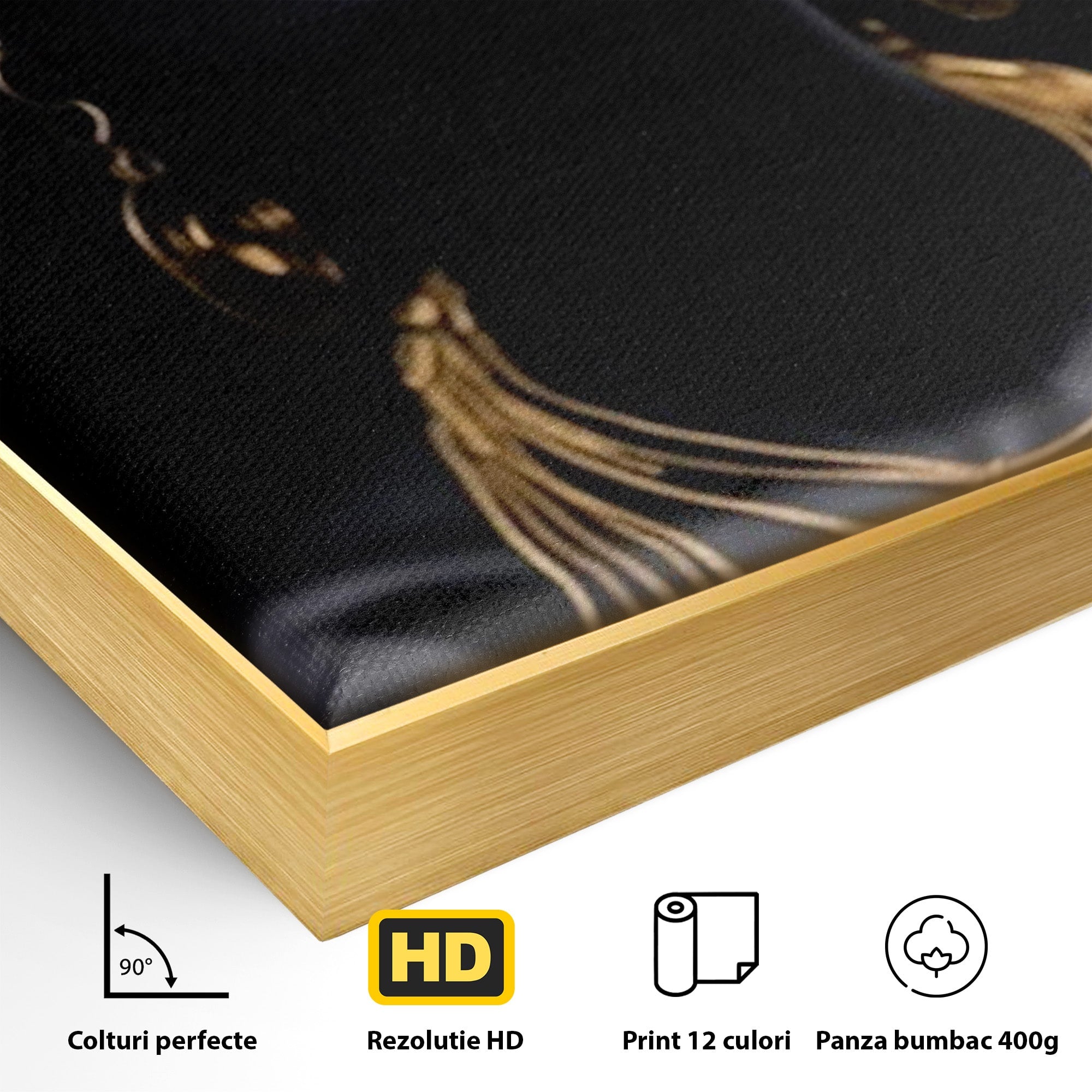 Tablou Canvas Premium LuxCanva® PI1273, Stralucire Nocturna, Portret, Eleganta, Aur, Living, Dormitor, Culori Vibrante