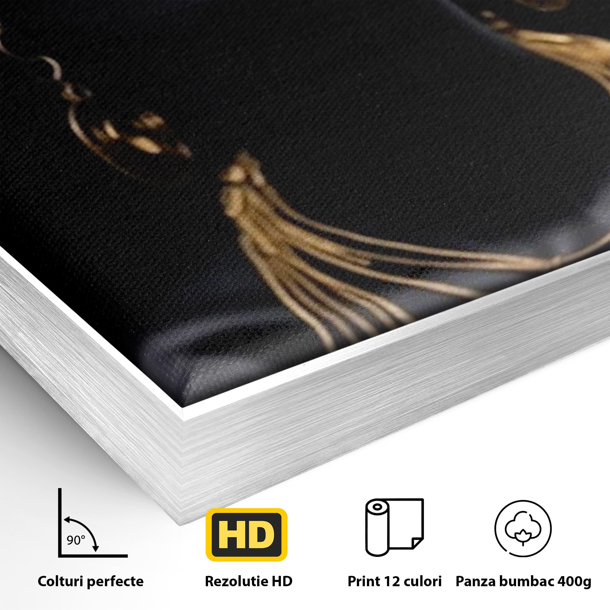 Tablou Canvas Premium LuxCanva® PI1273, Stralucire Nocturna, Portret, Eleganta, Aur, Living, Dormitor, Culori Vibrante