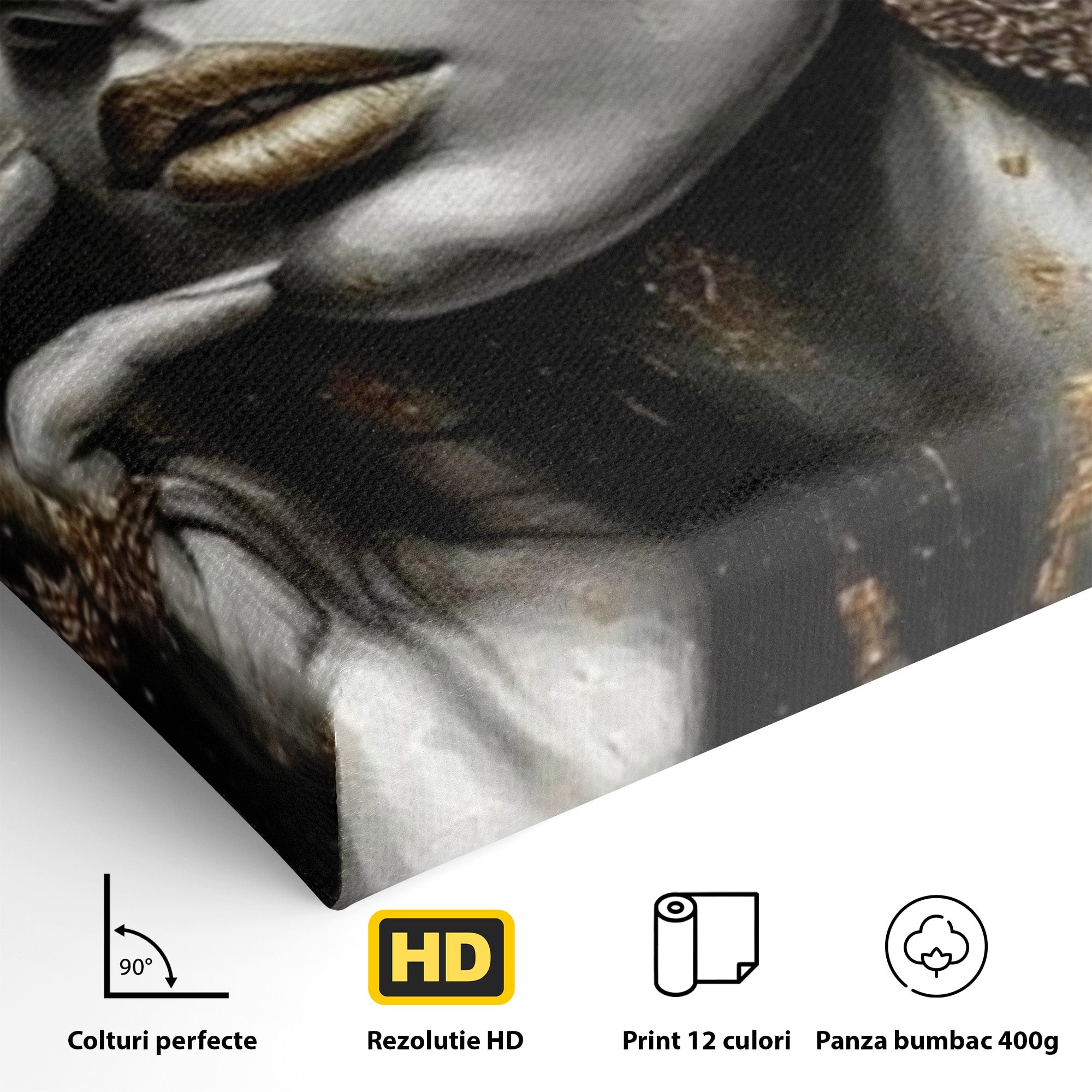 Tablou Canvas Premium LuxCanva® PI1274, Regina Misterioasa, Portret, Femeie, Eleganta, Arta, Dormitor, Culori Vibrante