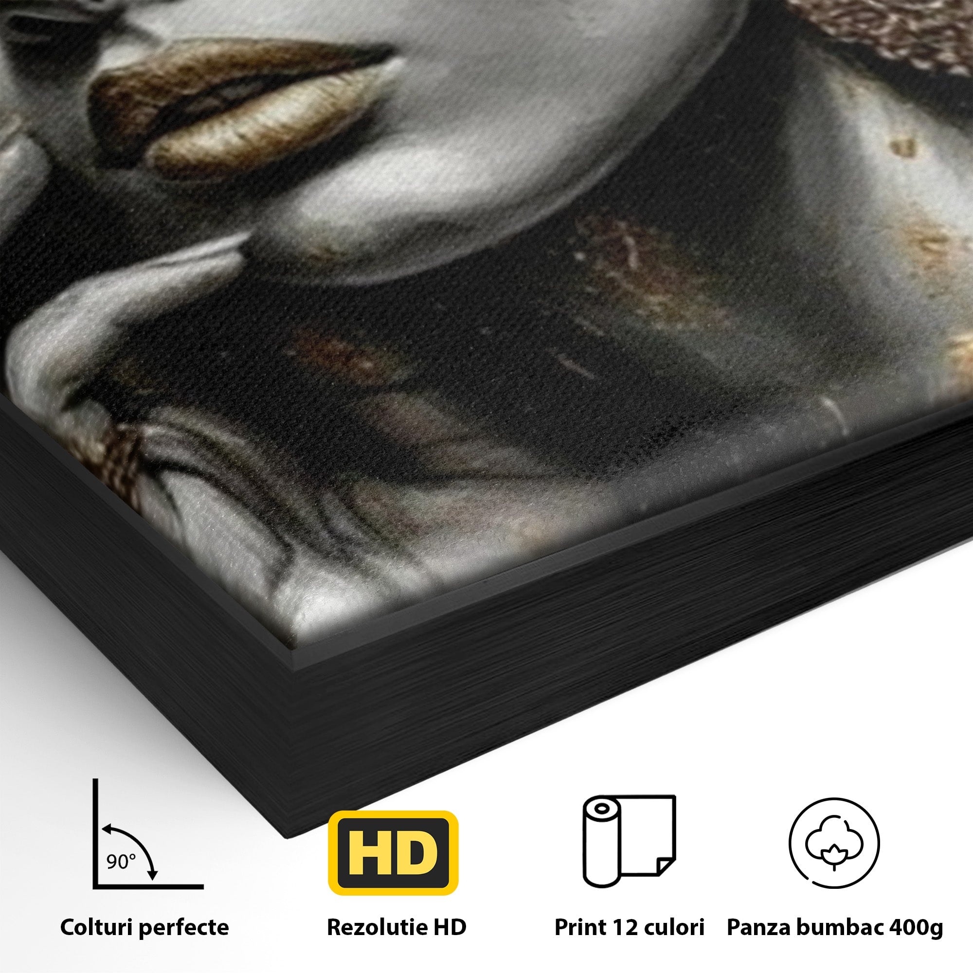 Tablou Canvas Premium LuxCanva® PI1274, Regina Misterioasa, Portret, Femeie, Eleganta, Arta, Dormitor, Culori Vibrante