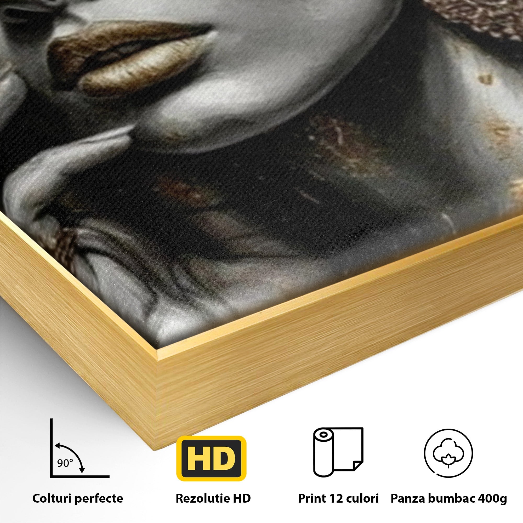 Tablou Canvas Premium LuxCanva® PI1274, Regina Misterioasa, Portret, Femeie, Eleganta, Arta, Dormitor, Culori Vibrante