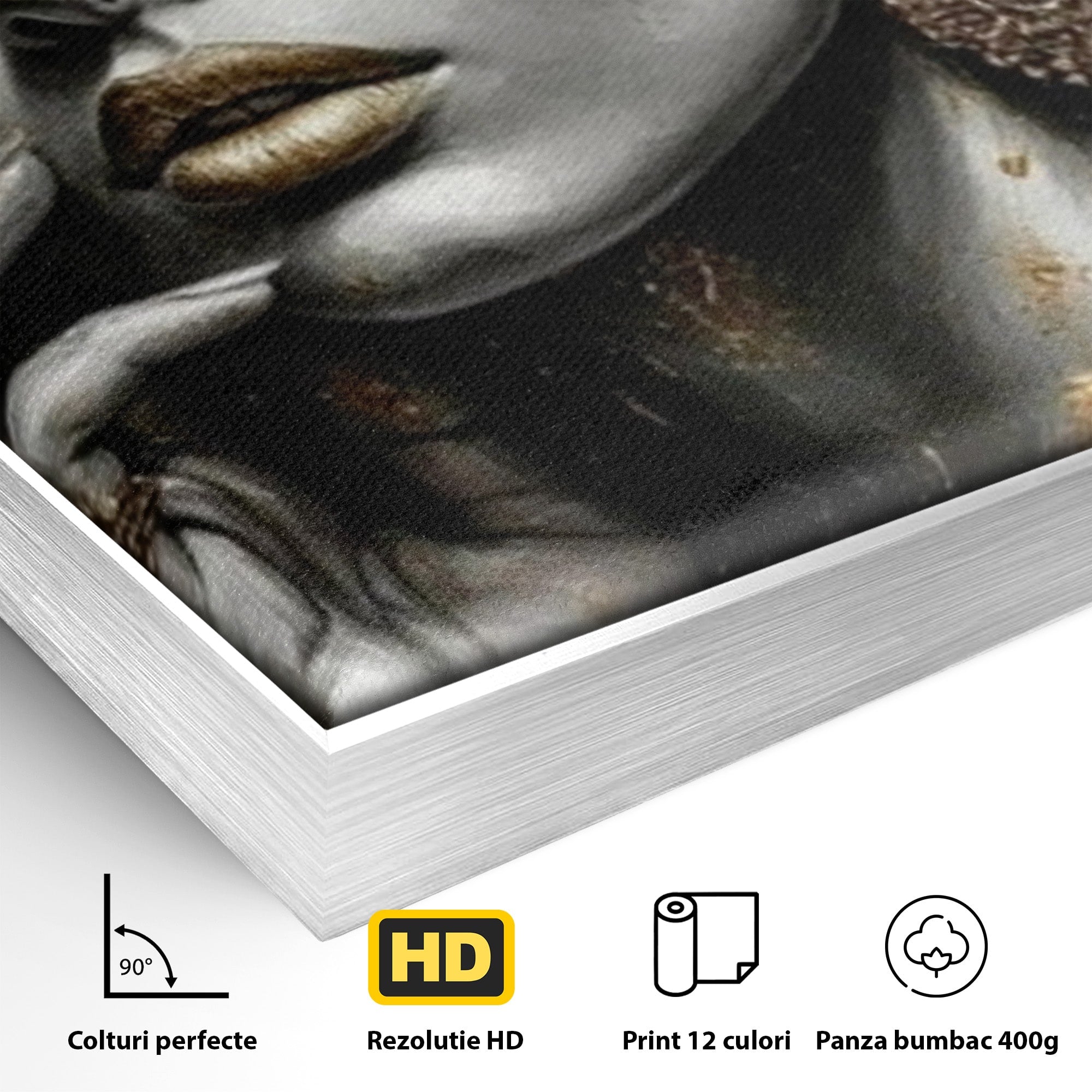 Tablou Canvas Premium LuxCanva® PI1274, Regina Misterioasa, Portret, Femeie, Eleganta, Arta, Dormitor, Culori Vibrante