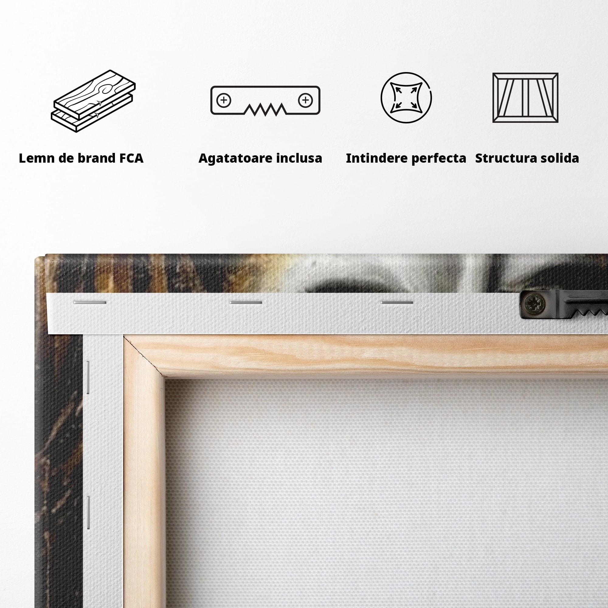 Tablou Canvas Premium LuxCanva® PI1274, Regina Misterioasa, Portret, Femeie, Eleganta, Arta, Dormitor, Culori Vibrante