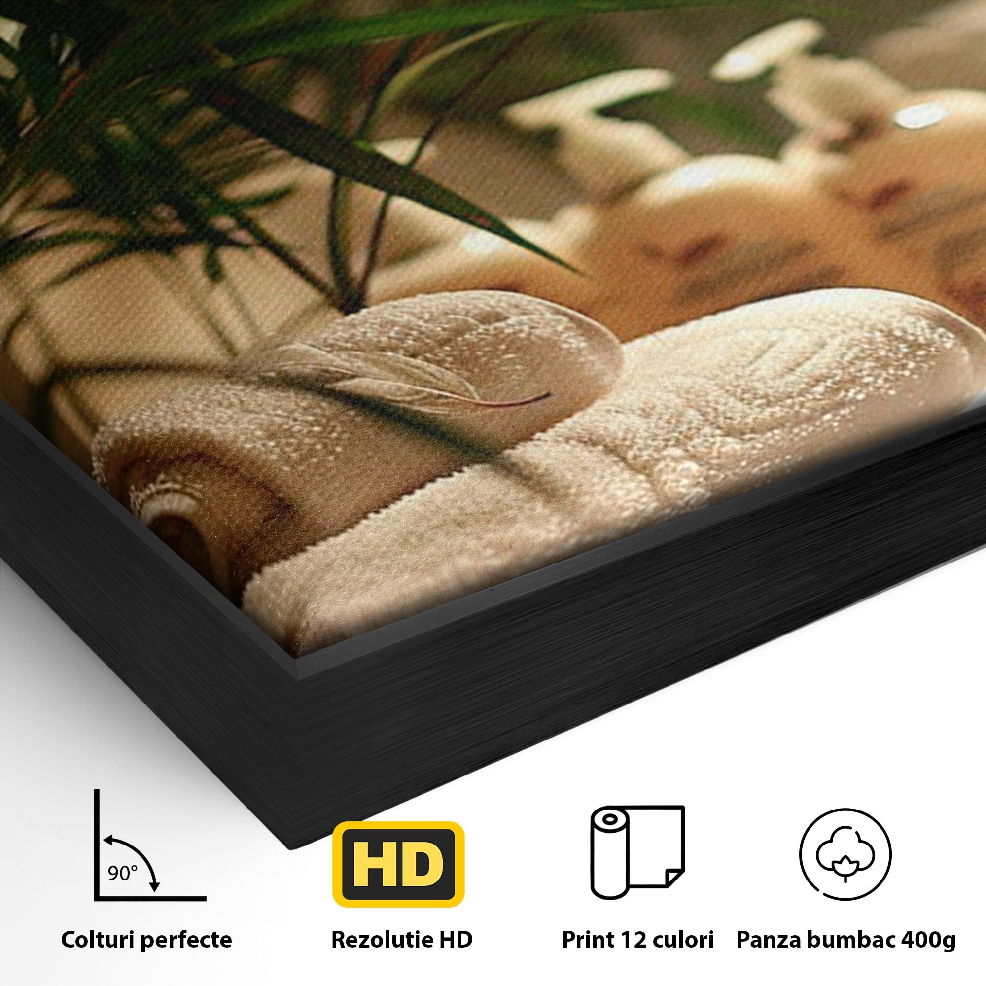 Tablou Canvas Premium LuxCanva® PI1278, Oaza De Relaxare, Spa, Meditatie, Natura, Baie, Calm, Culori Vibrante