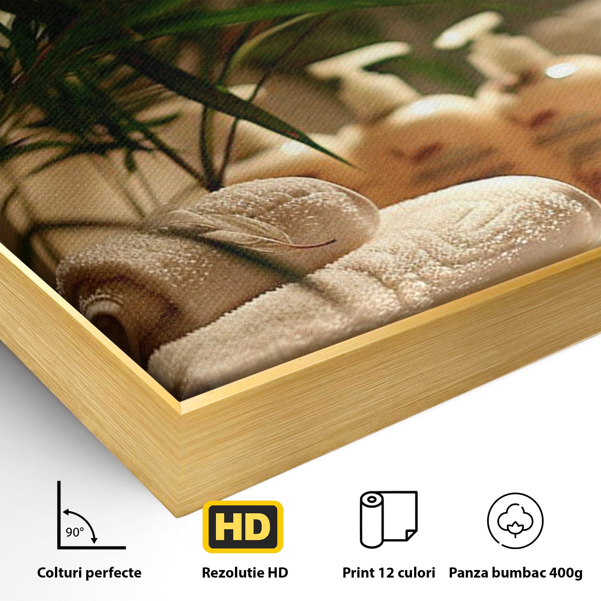 Tablou Canvas Premium LuxCanva® PI1278, Oaza De Relaxare, Spa, Meditatie, Natura, Baie, Calm, Culori Vibrante