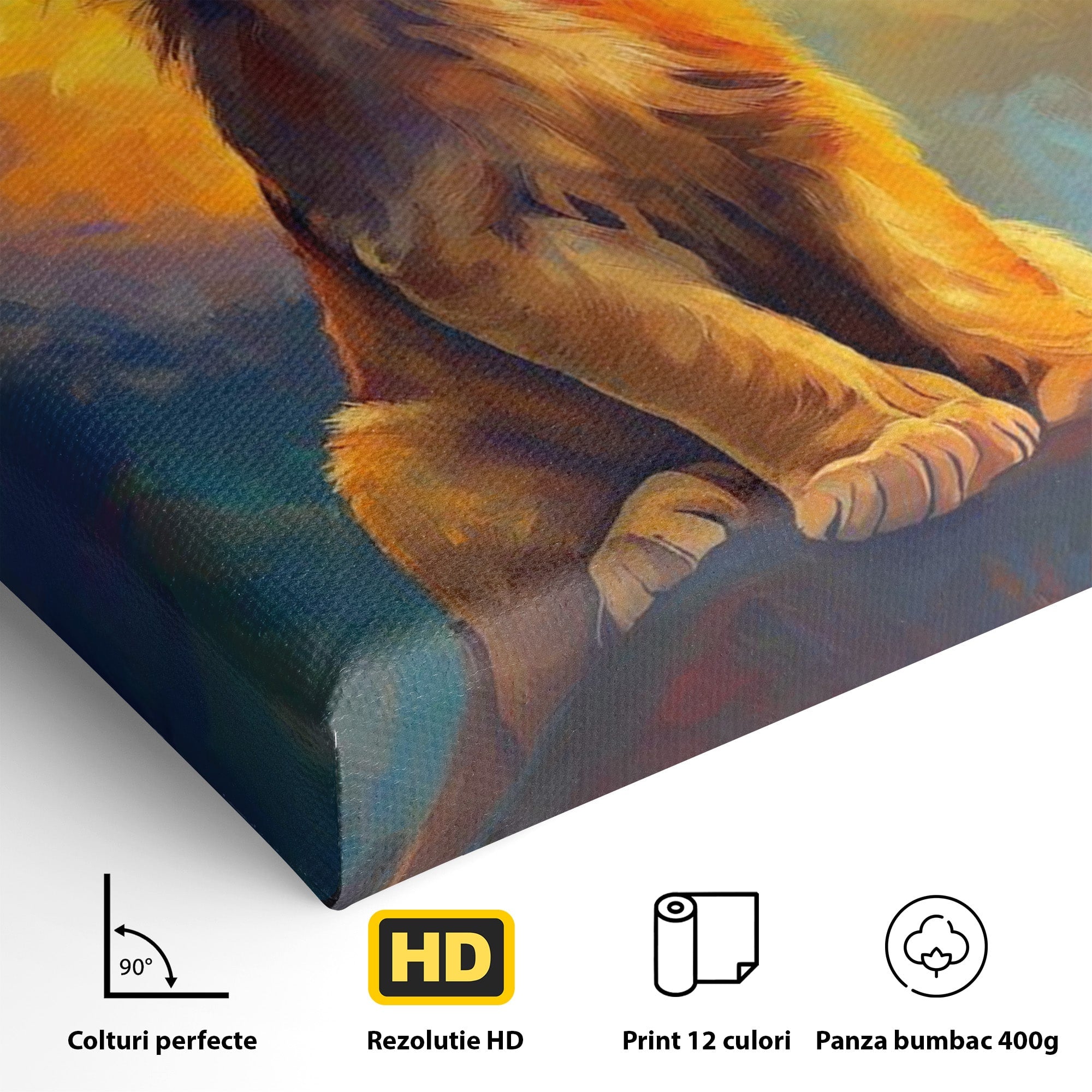 Tablou Canvas Premium LuxCanva® PI1293, Pui De Leu Privind Spre Cer, Simba, Animale, Safari, Inspiratie, Dormitor, Culori Vibrante