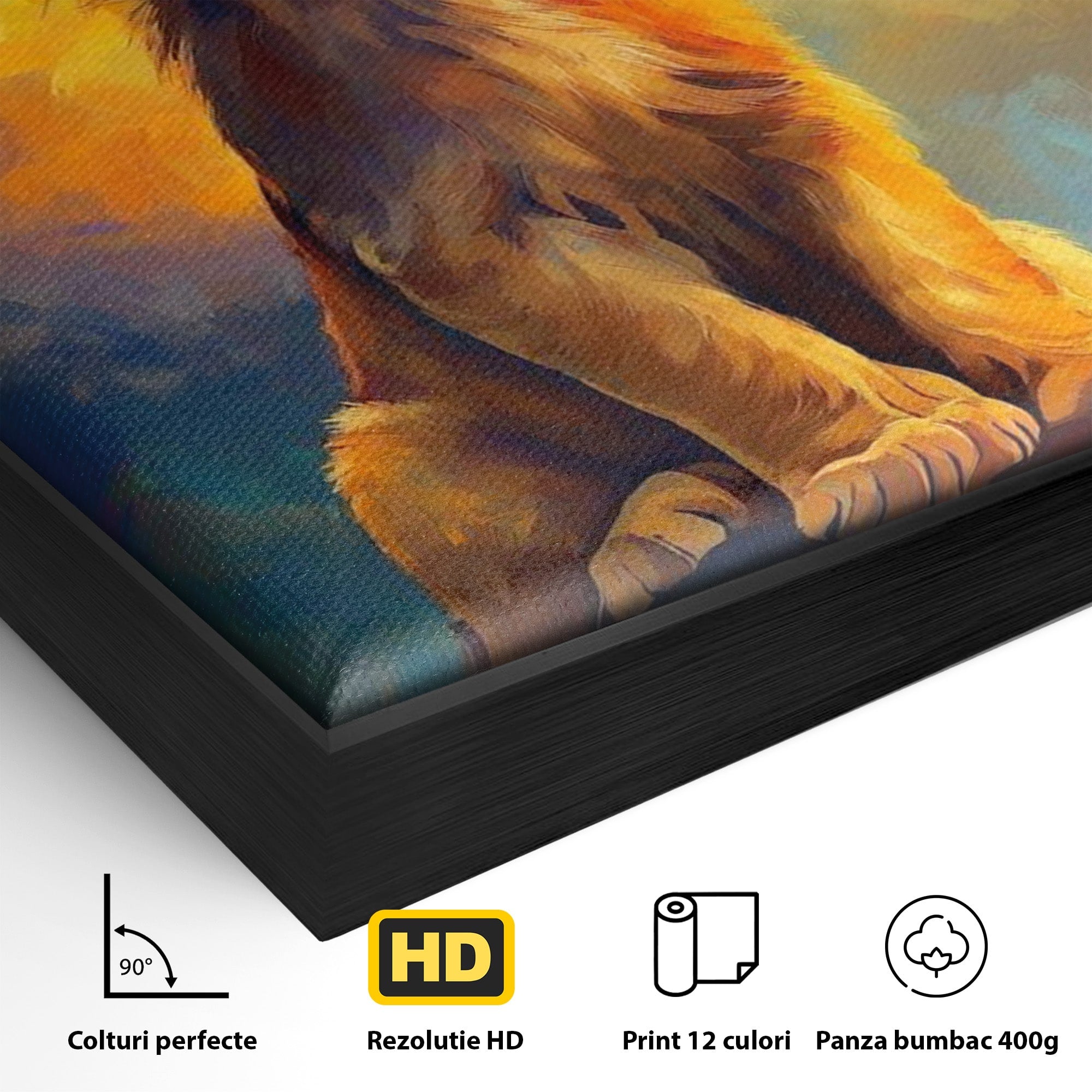 Tablou Canvas Premium LuxCanva® PI1293, Pui De Leu Privind Spre Cer, Simba, Animale, Safari, Inspiratie, Dormitor, Culori Vibrante