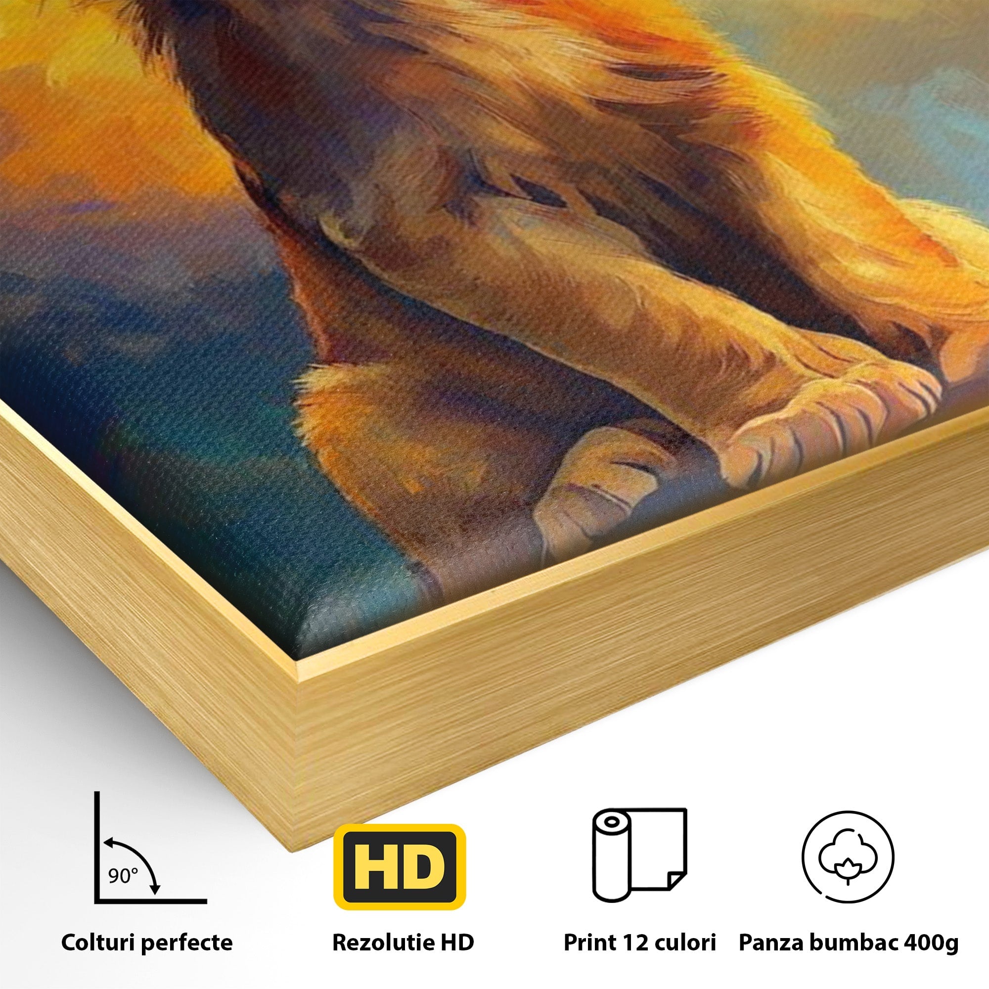 Tablou Canvas Premium LuxCanva® PI1293, Pui De Leu Privind Spre Cer, Simba, Animale, Safari, Inspiratie, Dormitor, Culori Vibrante