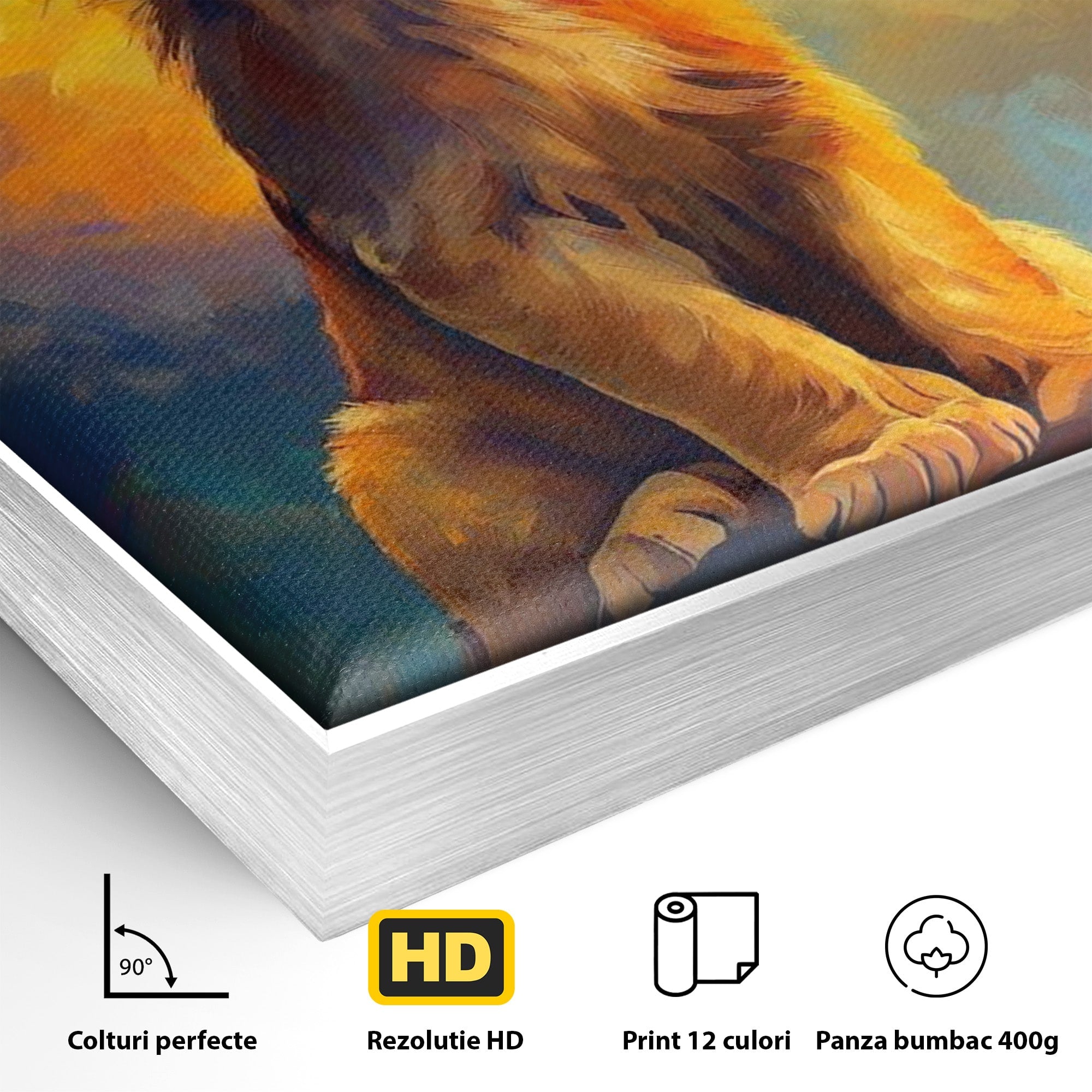 Tablou Canvas Premium LuxCanva® PI1293, Pui De Leu Privind Spre Cer, Simba, Animale, Safari, Inspiratie, Dormitor, Culori Vibrante