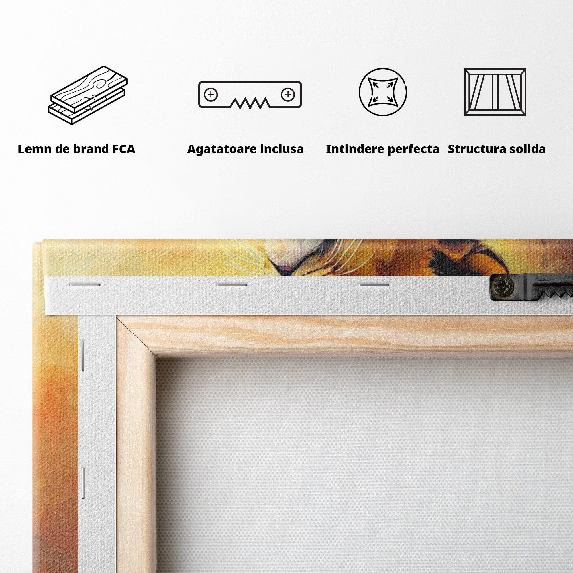 Tablou Canvas Premium LuxCanva® PI1293, Pui De Leu Privind Spre Cer, Simba, Animale, Safari, Inspiratie, Dormitor, Culori Vibrante