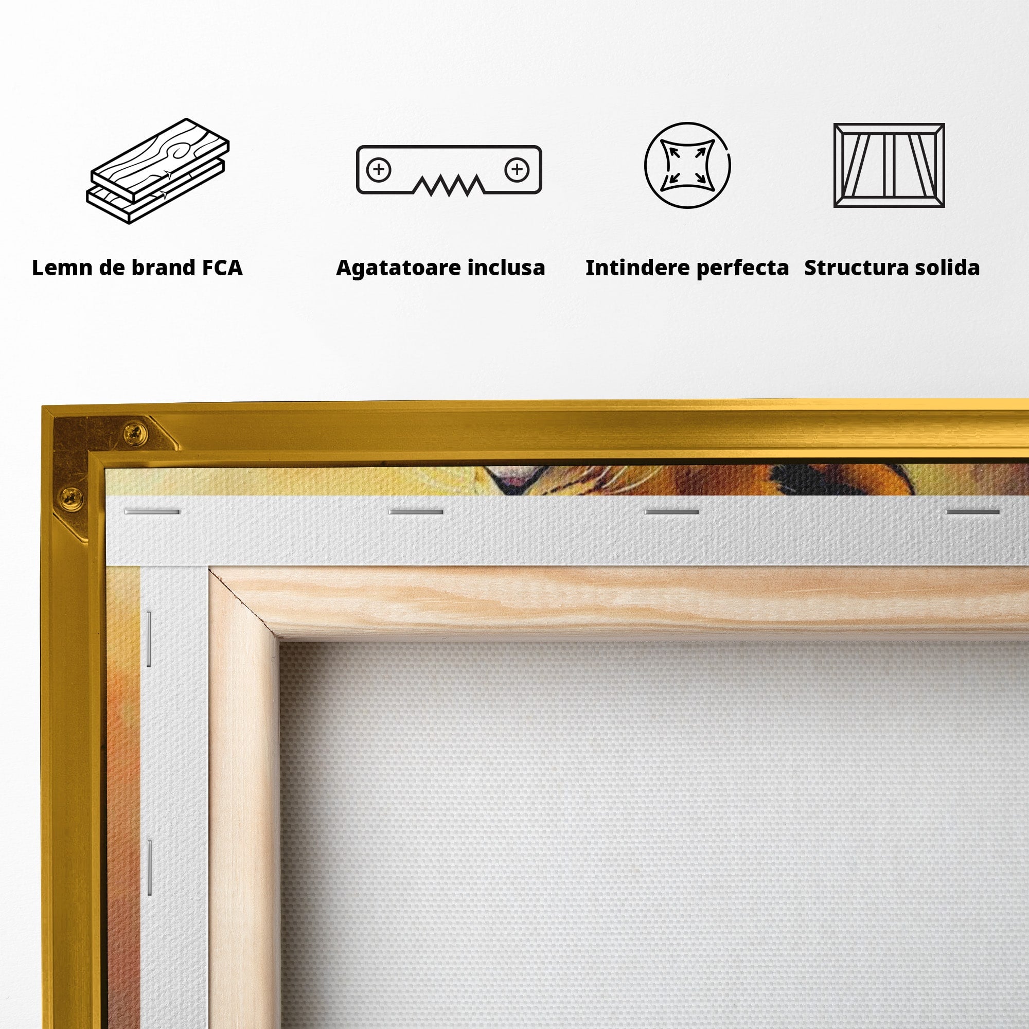 Tablou Canvas Premium LuxCanva® PI1293, Pui De Leu Privind Spre Cer, Simba, Animale, Safari, Inspiratie, Dormitor, Culori Vibrante