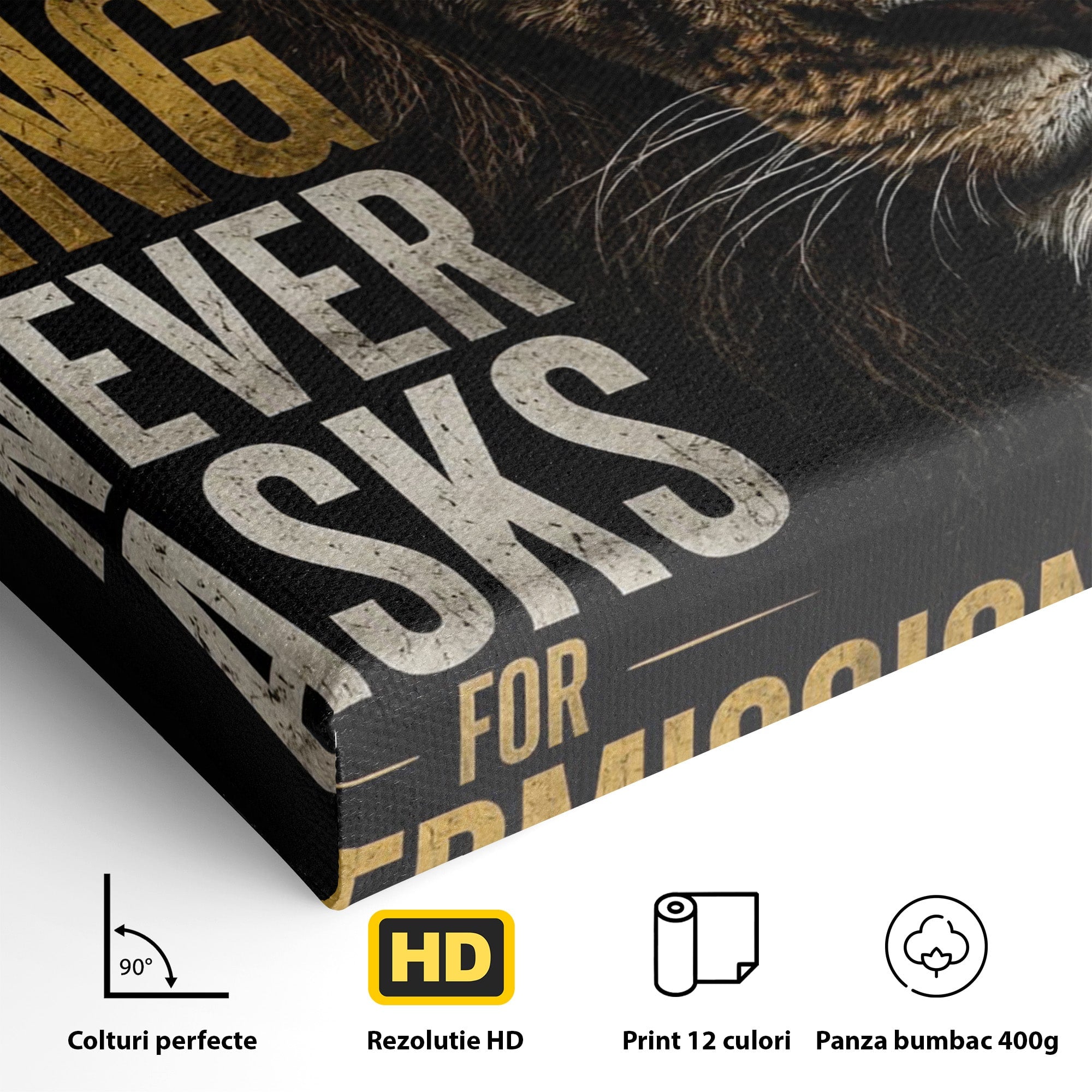 Tablou Canvas Premium LuxCanva® PI1297, Regele Leu, Coama, Animal, Putere, Motivational, Birou, Culori Vibrante