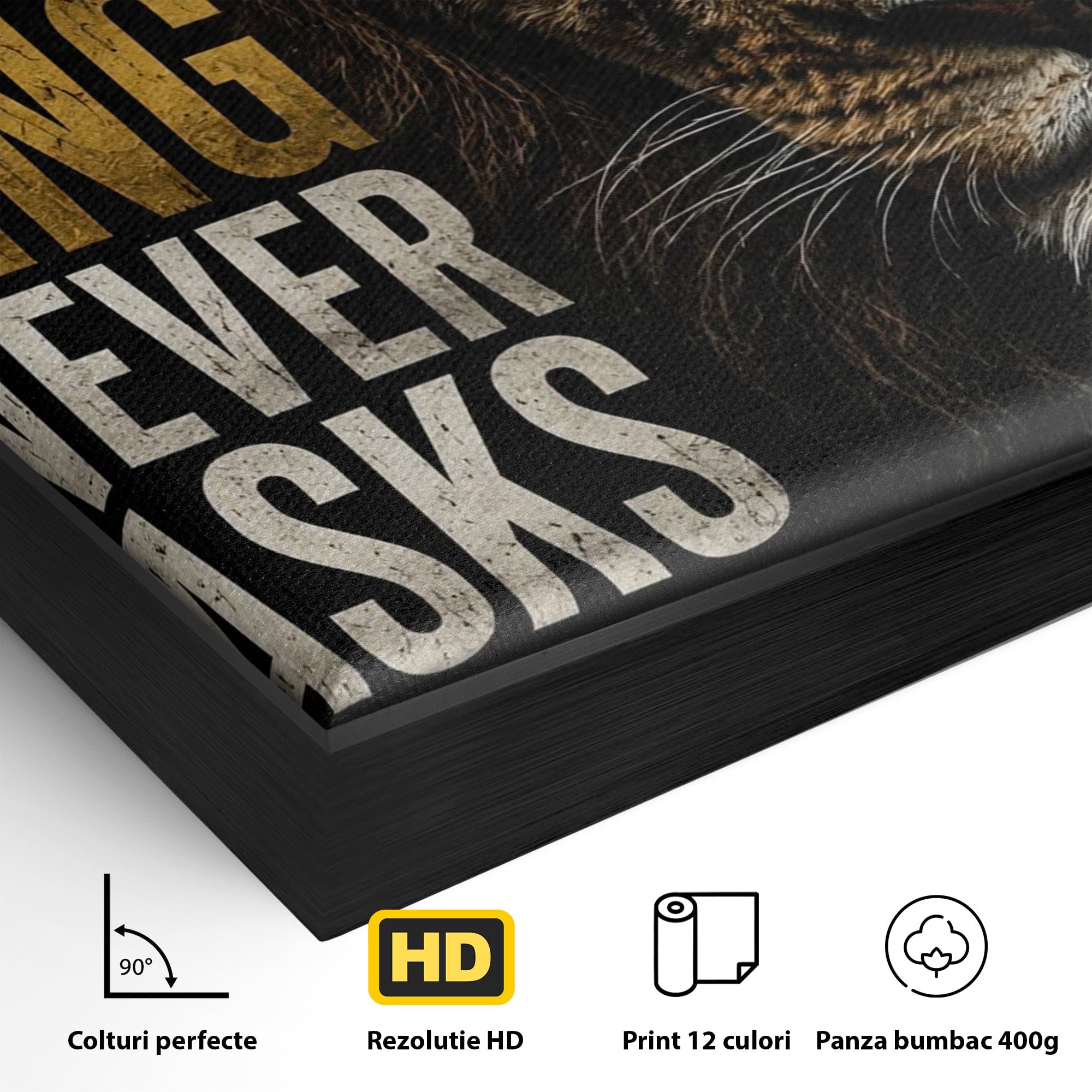 Tablou Canvas Premium LuxCanva® PI1297, Regele Leu, Coama, Animal, Putere, Motivational, Birou, Culori Vibrante