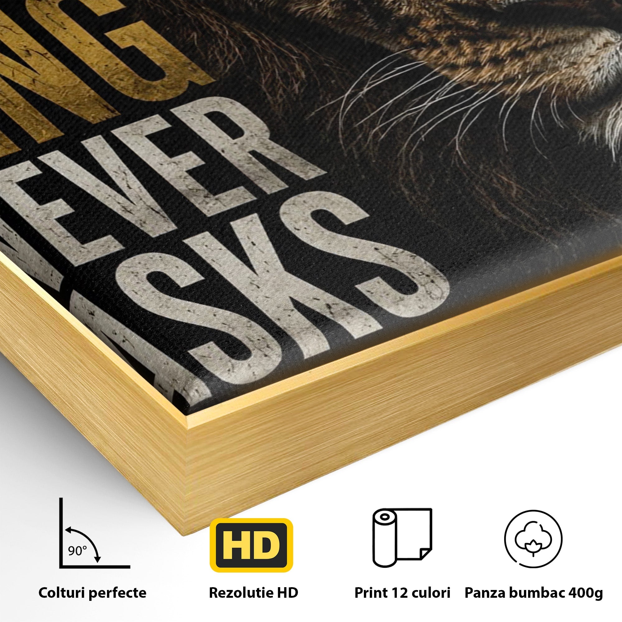 Tablou Canvas Premium LuxCanva® PI1297, Regele Leu, Coama, Animal, Putere, Motivational, Birou, Culori Vibrante