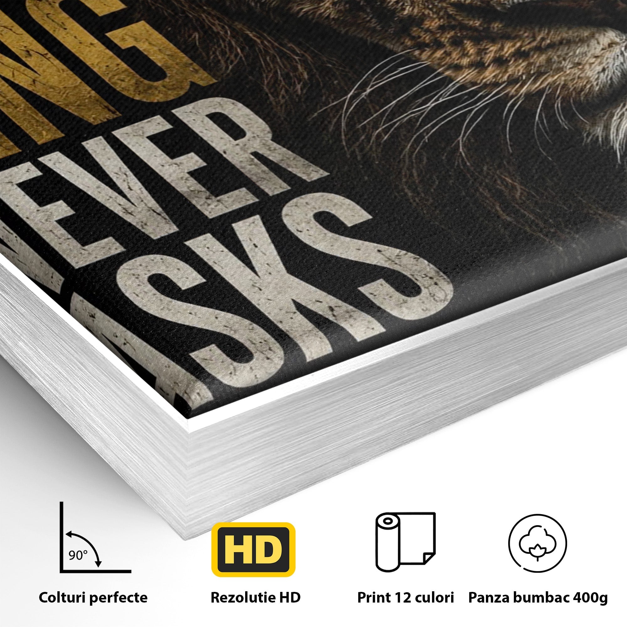 Tablou Canvas Premium LuxCanva® PI1297, Regele Leu, Coama, Animal, Putere, Motivational, Birou, Culori Vibrante