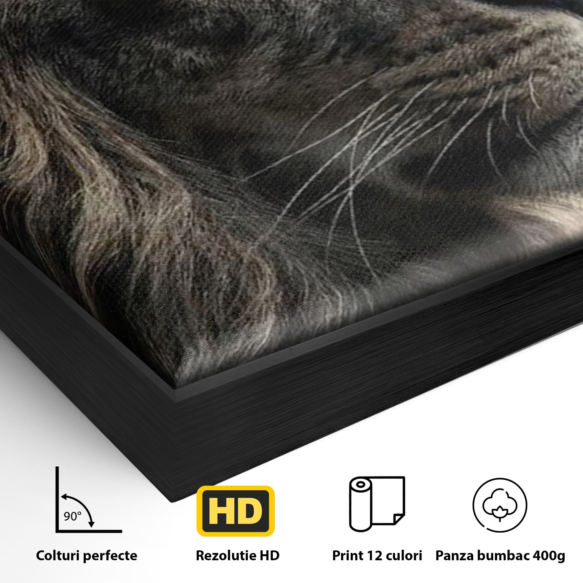 Tablou Canvas Premium LuxCanva® PI1298, Privirea Regala a Leului, Privire, Regal, Coroana, Dormitor, Birou, Culori Vibrante