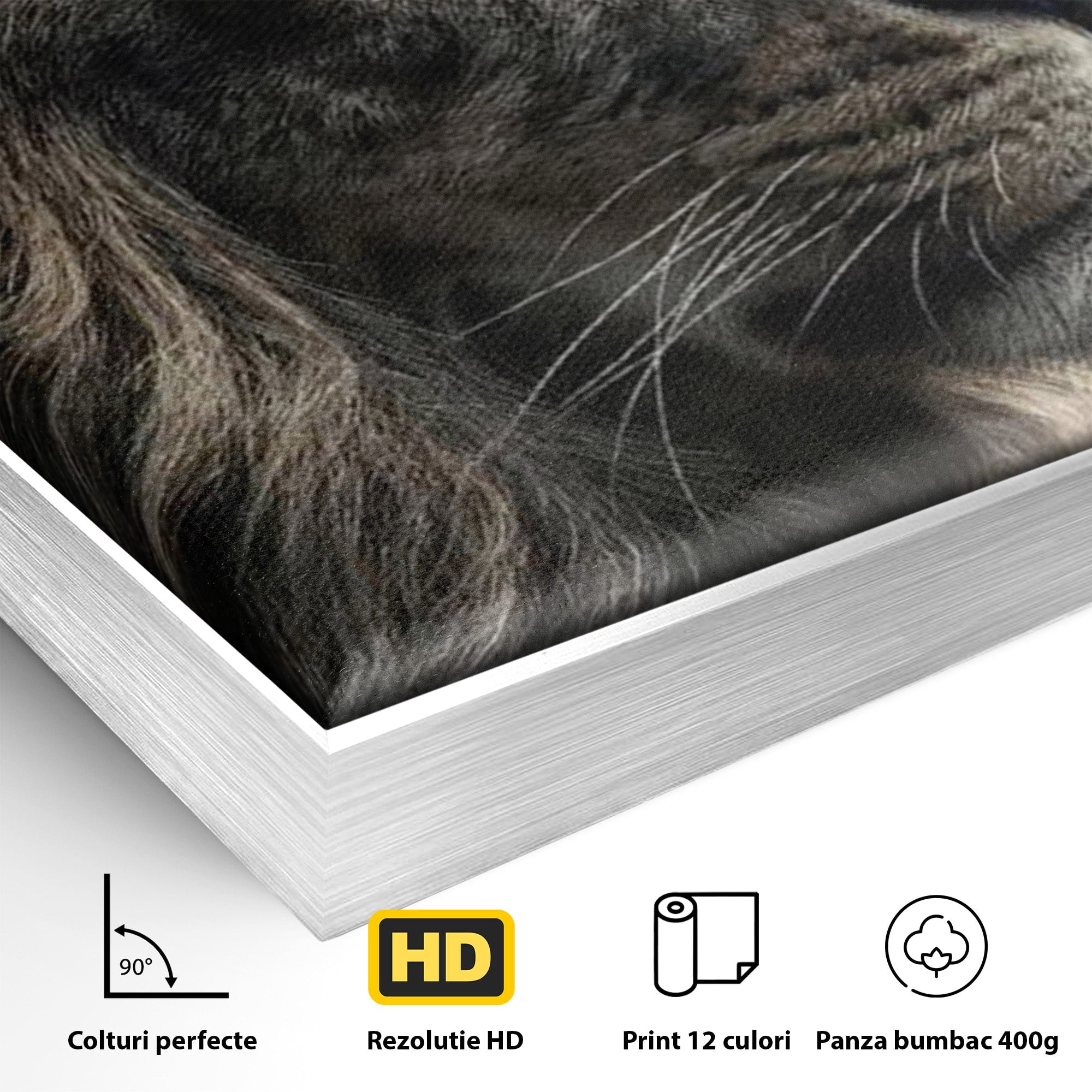 Tablou Canvas Premium LuxCanva® PI1298, Privirea Regala a Leului, Privire, Regal, Coroana, Dormitor, Birou, Culori Vibrante