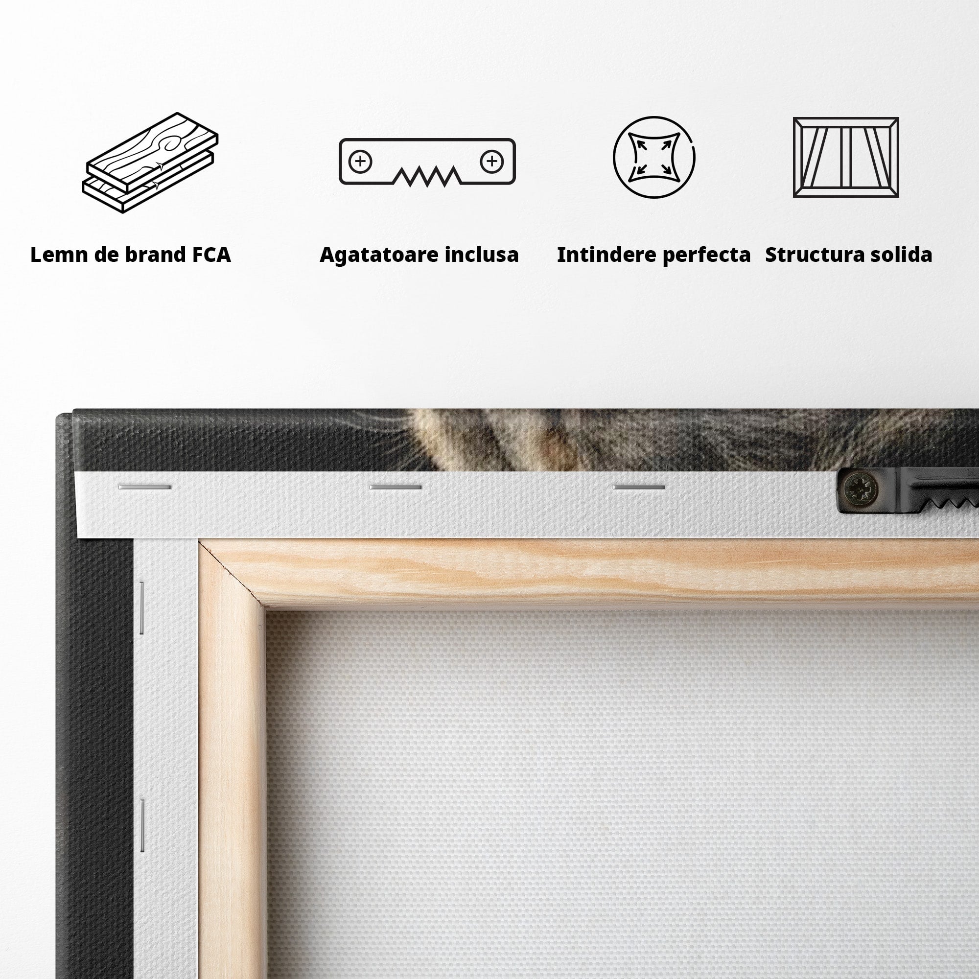 Tablou Canvas Premium LuxCanva® PI1298, Privirea Regala a Leului, Privire, Regal, Coroana, Dormitor, Birou, Culori Vibrante