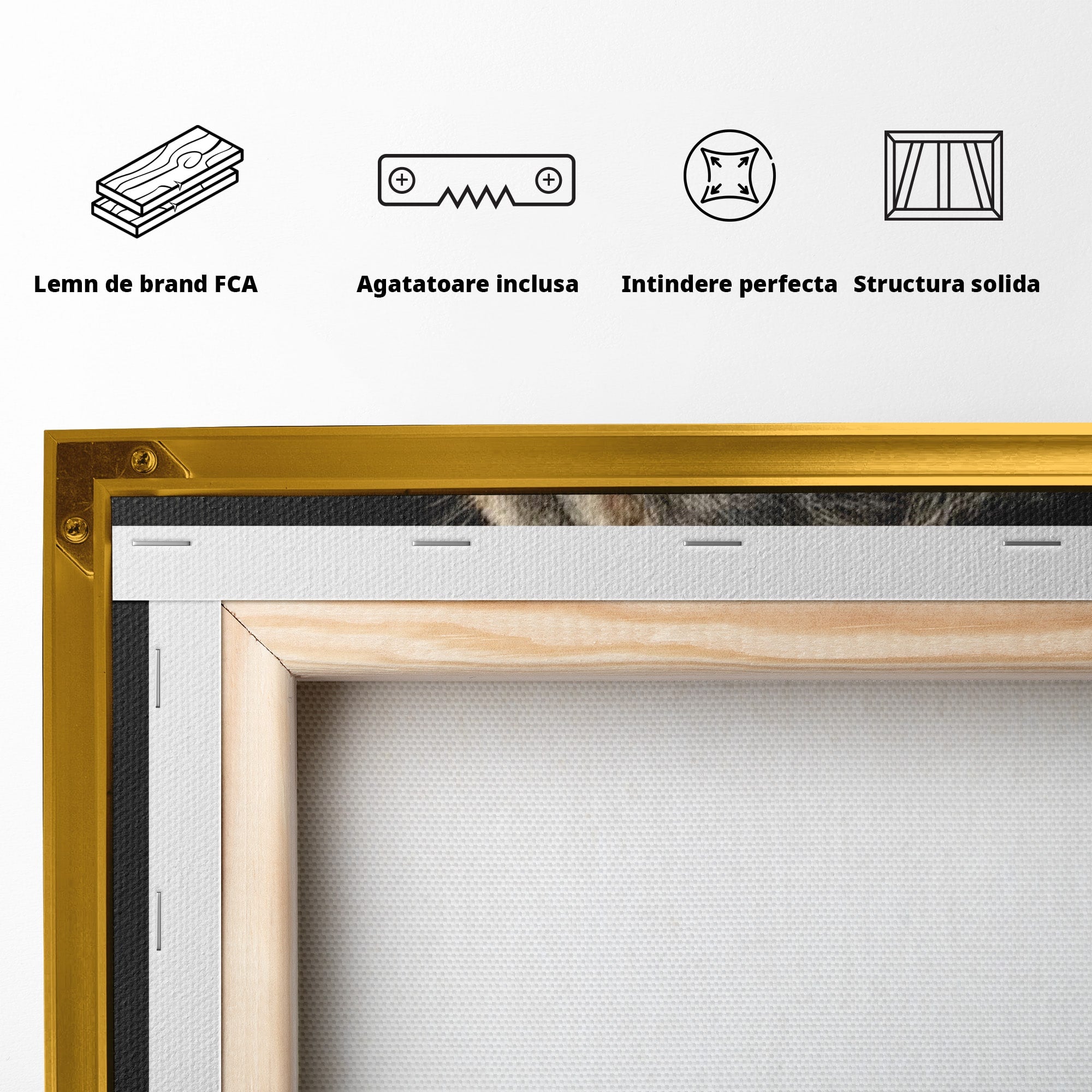 Tablou Canvas Premium LuxCanva® PI1298, Privirea Regala a Leului, Privire, Regal, Coroana, Dormitor, Birou, Culori Vibrante