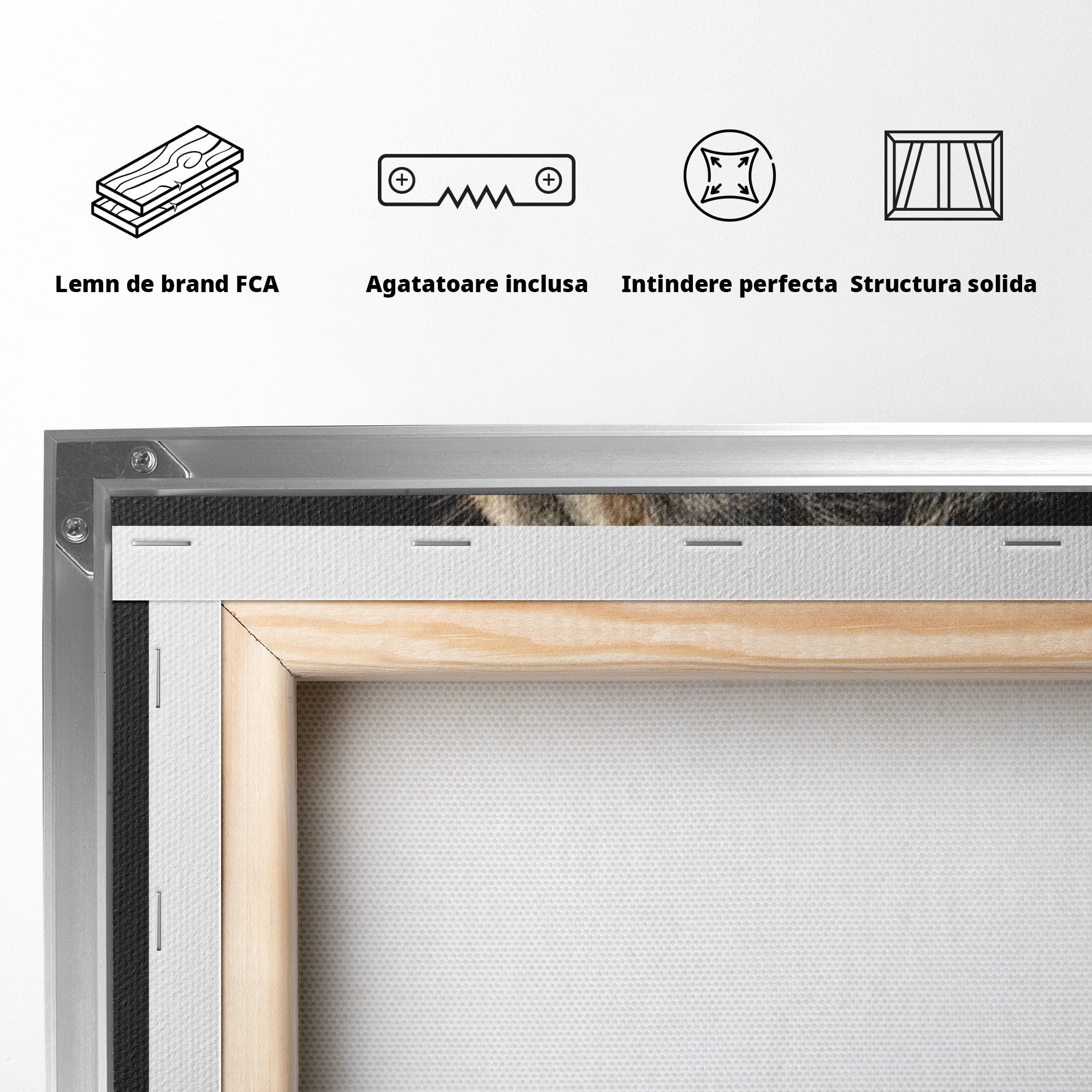 Tablou Canvas Premium LuxCanva® PI1298, Privirea Regala a Leului, Privire, Regal, Coroana, Dormitor, Birou, Culori Vibrante