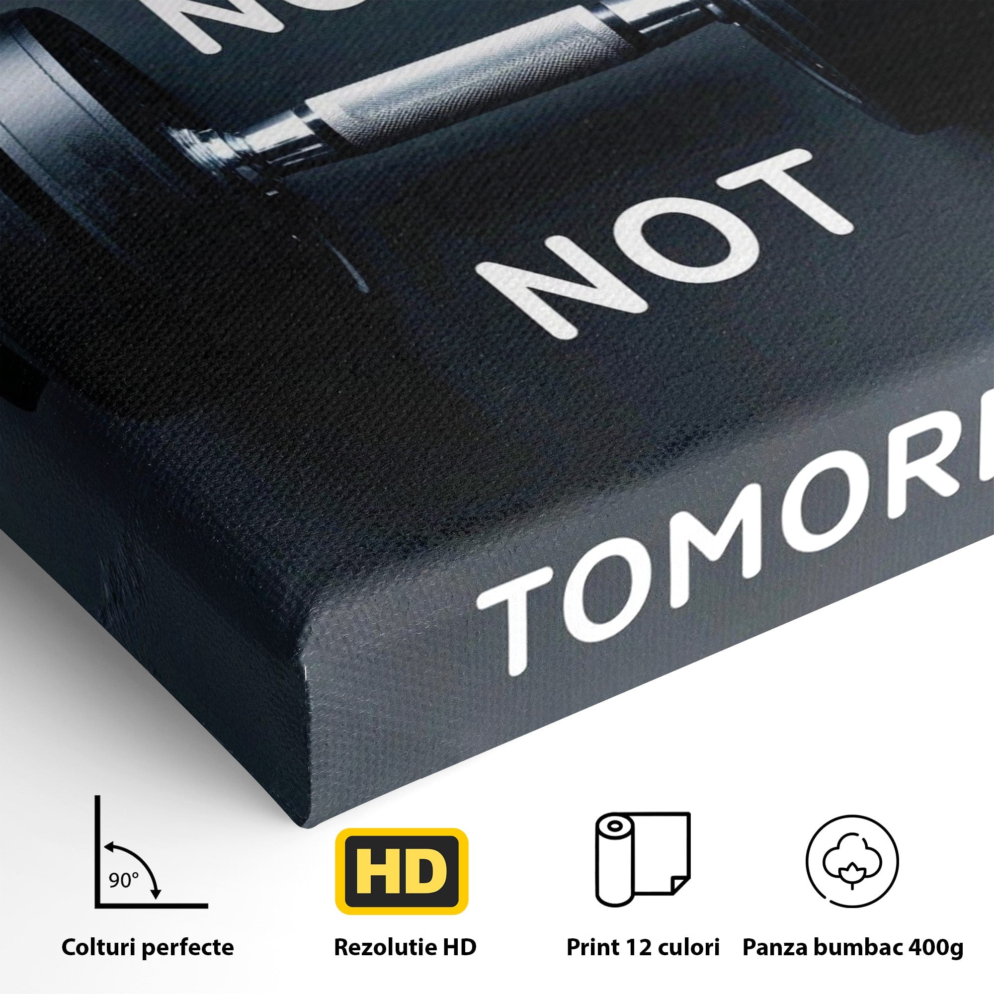 Tablou Canvas Premium LuxCanva® PI1302, Ganteră Motivațională, Fitness, Motivatie, Sport, Citat, Birou, Dormitor, Culori Vibrante